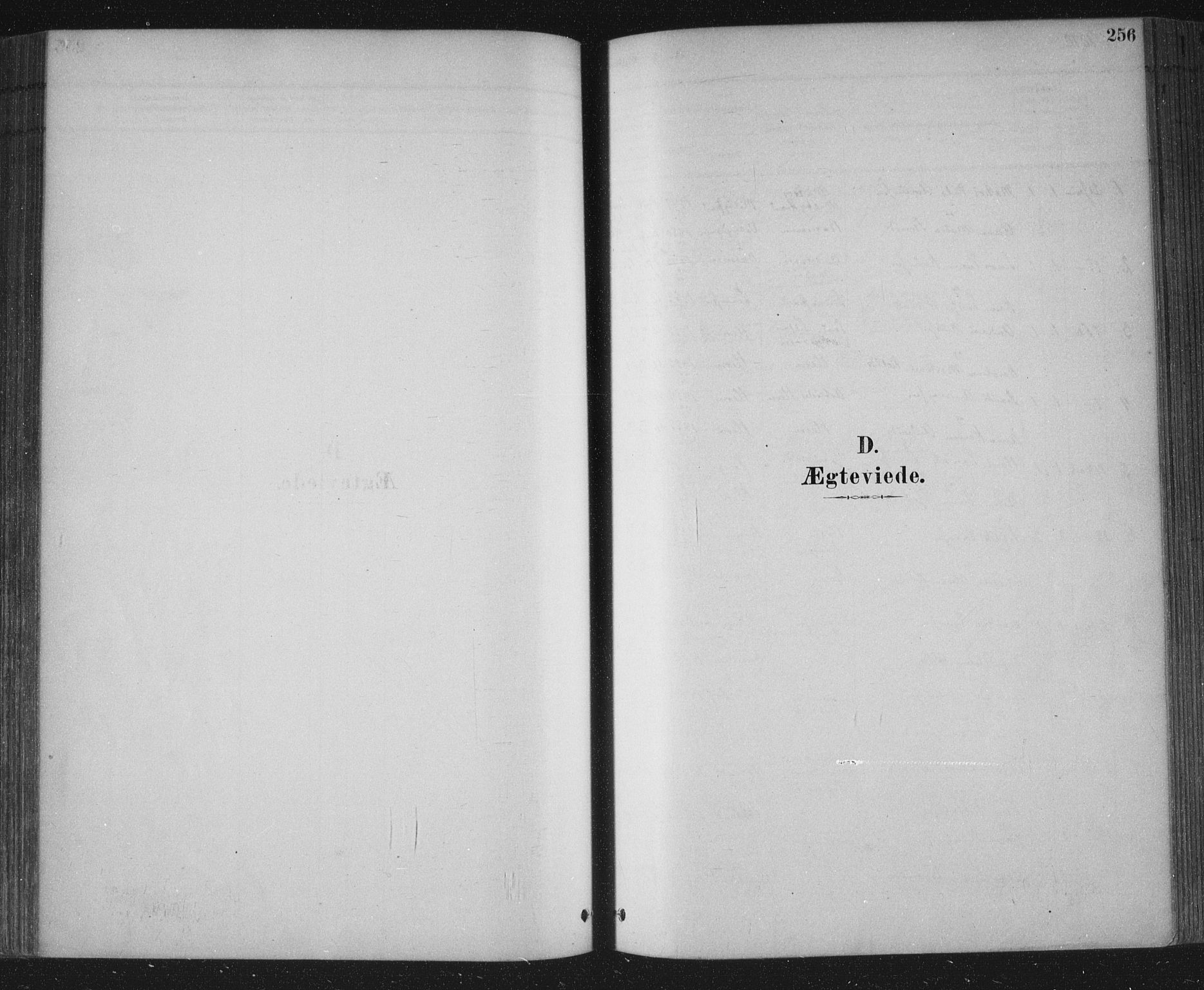 Bamble kirkebøker, SAKO/A-253/F/Fa/L0007: Parish register (official) no. I 7, 1878-1888, p. 256