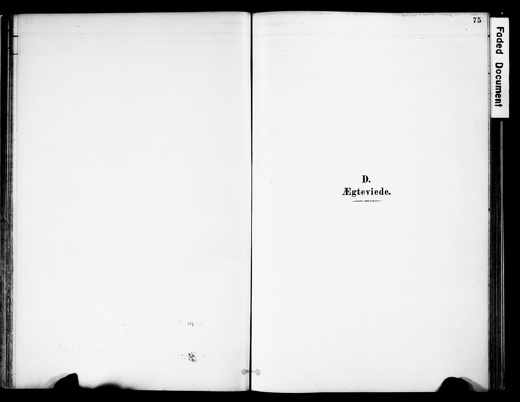 Vestre Slidre prestekontor, AV/SAH-PREST-136/H/Ha/Haa/L0005: Parish register (official) no. 5, 1881-1912, p. 75