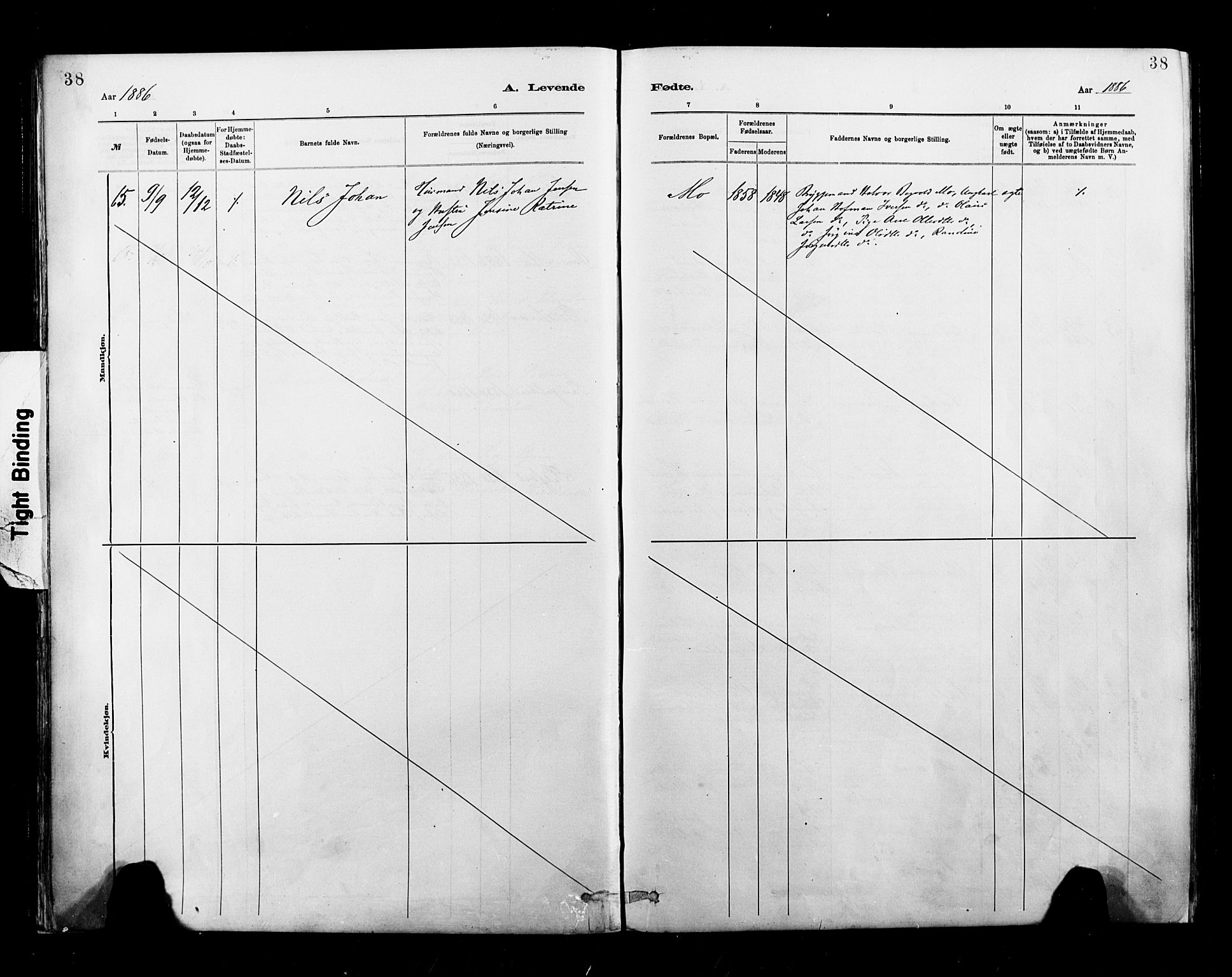 Ministerialprotokoller, klokkerbøker og fødselsregistre - Nordland, AV/SAT-A-1459/827/L0400: Parish register (official) no. 827A12, 1883-1903, p. 38