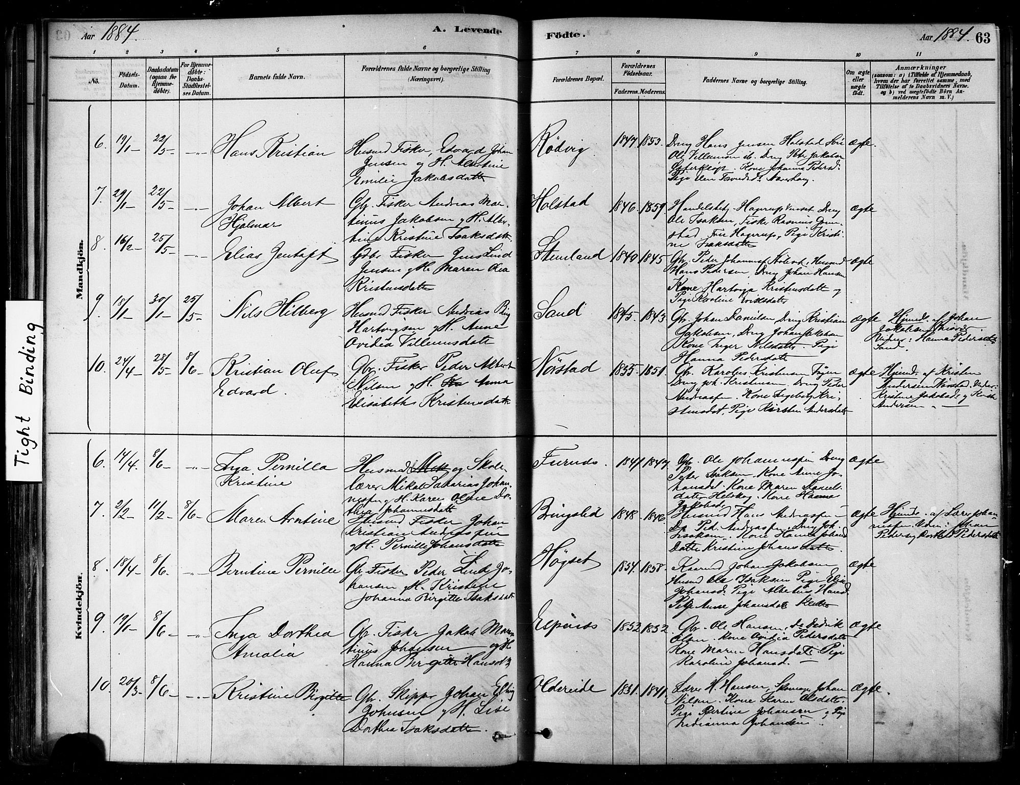 Ministerialprotokoller, klokkerbøker og fødselsregistre - Nordland, SAT/A-1459/852/L0740: Parish register (official) no. 852A10, 1878-1894, p. 63