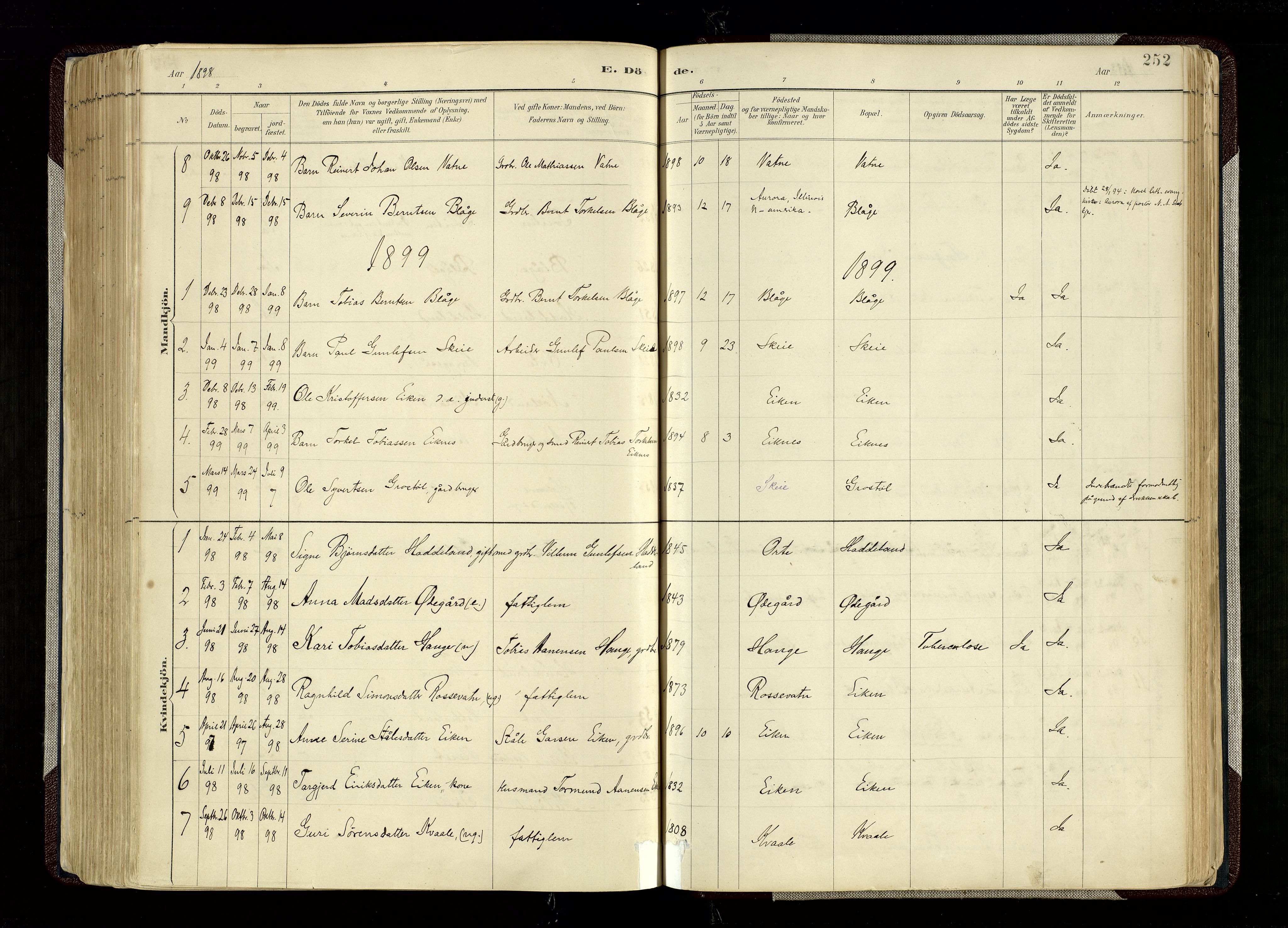 Hægebostad sokneprestkontor, SAK/1111-0024/F/Fa/Fab/L0004: Parish register (official) no. A 4, 1887-1929, p. 252