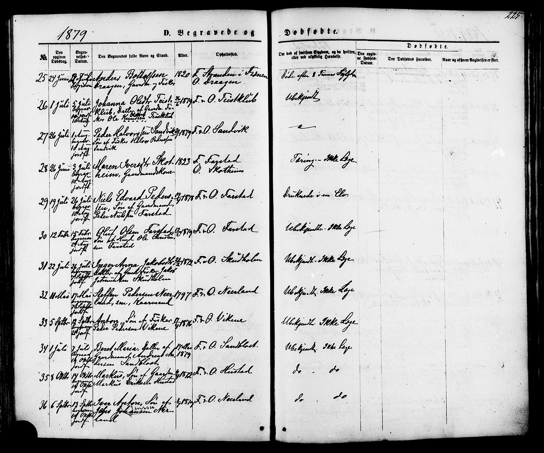 Ministerialprotokoller, klokkerbøker og fødselsregistre - Møre og Romsdal, AV/SAT-A-1454/566/L0768: Parish register (official) no. 566A07, 1869-1881, p. 225