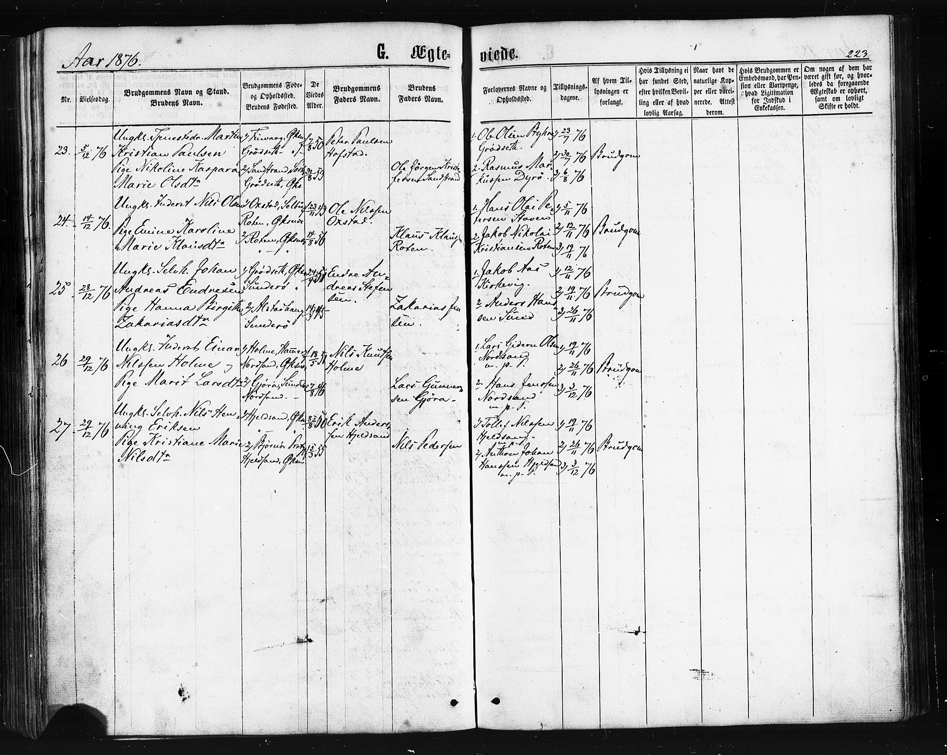 Ministerialprotokoller, klokkerbøker og fødselsregistre - Nordland, AV/SAT-A-1459/893/L1334: Parish register (official) no. 893A07, 1867-1877, p. 223