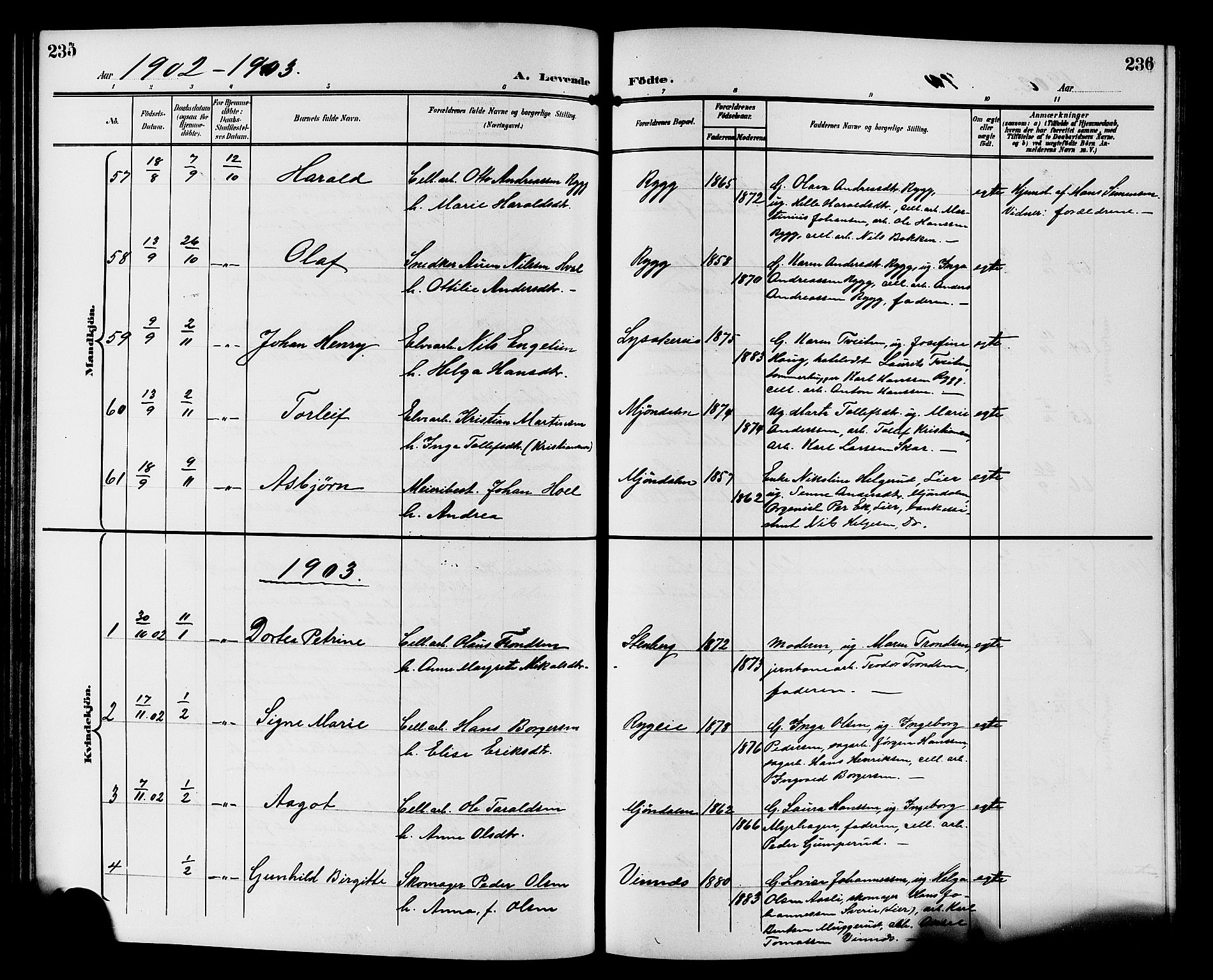Nedre Eiker kirkebøker, AV/SAKO-A-612/G/Ga/L0003: Parish register (copy) no. 3, 1896-1905, p. 235-236