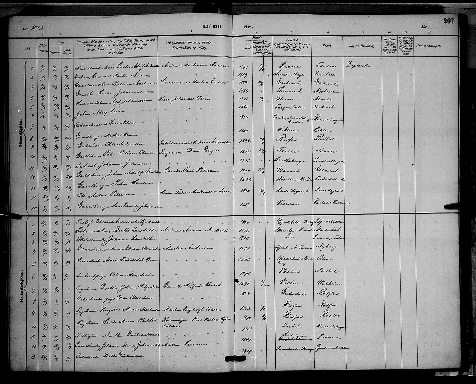 Vestre Toten prestekontor, SAH/PREST-108/H/Ha/Hab/L0009: Parish register (copy) no. 9, 1888-1900, p. 207
