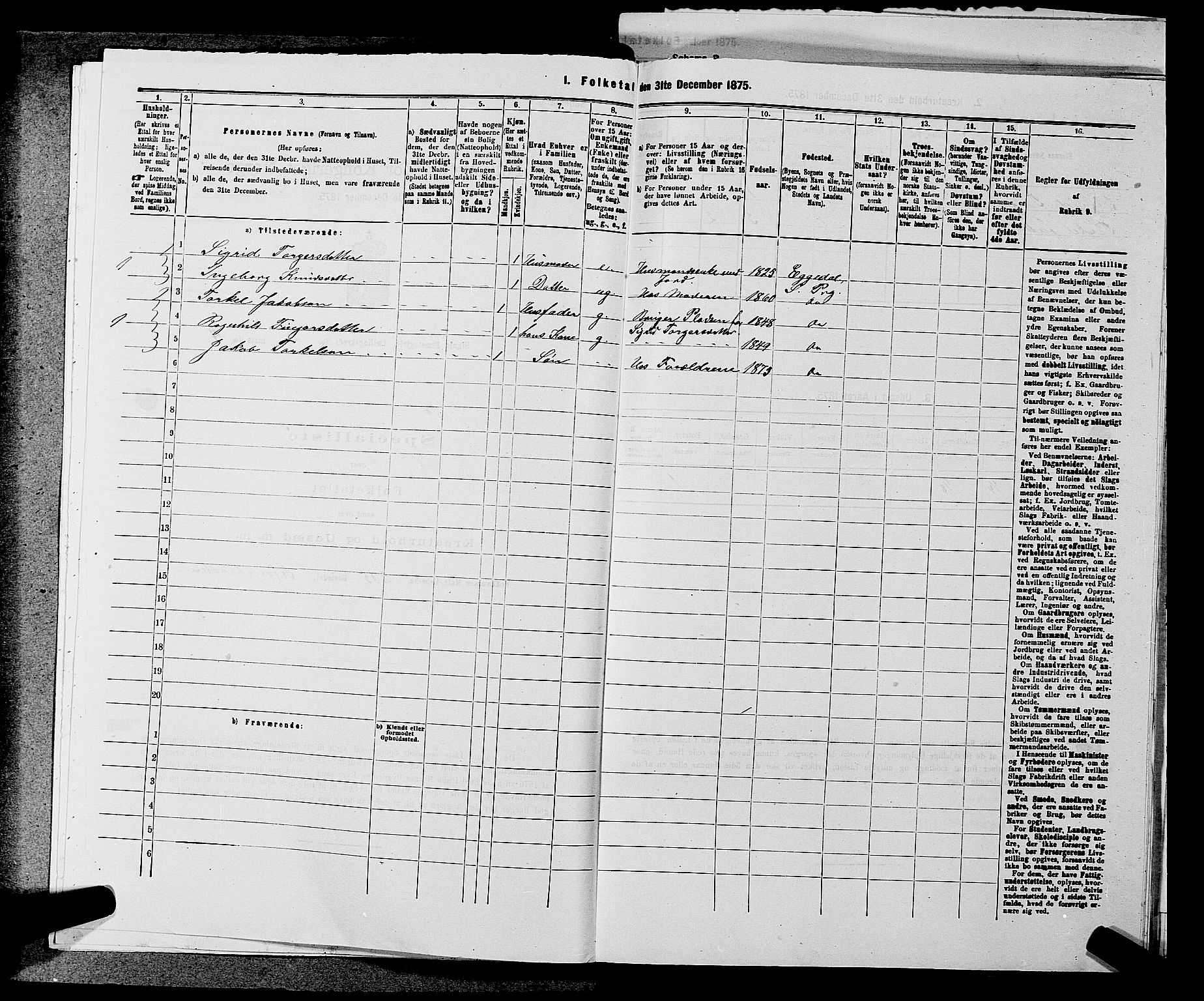 SAKO, 1875 census for 0621P Sigdal, 1875, p. 2013