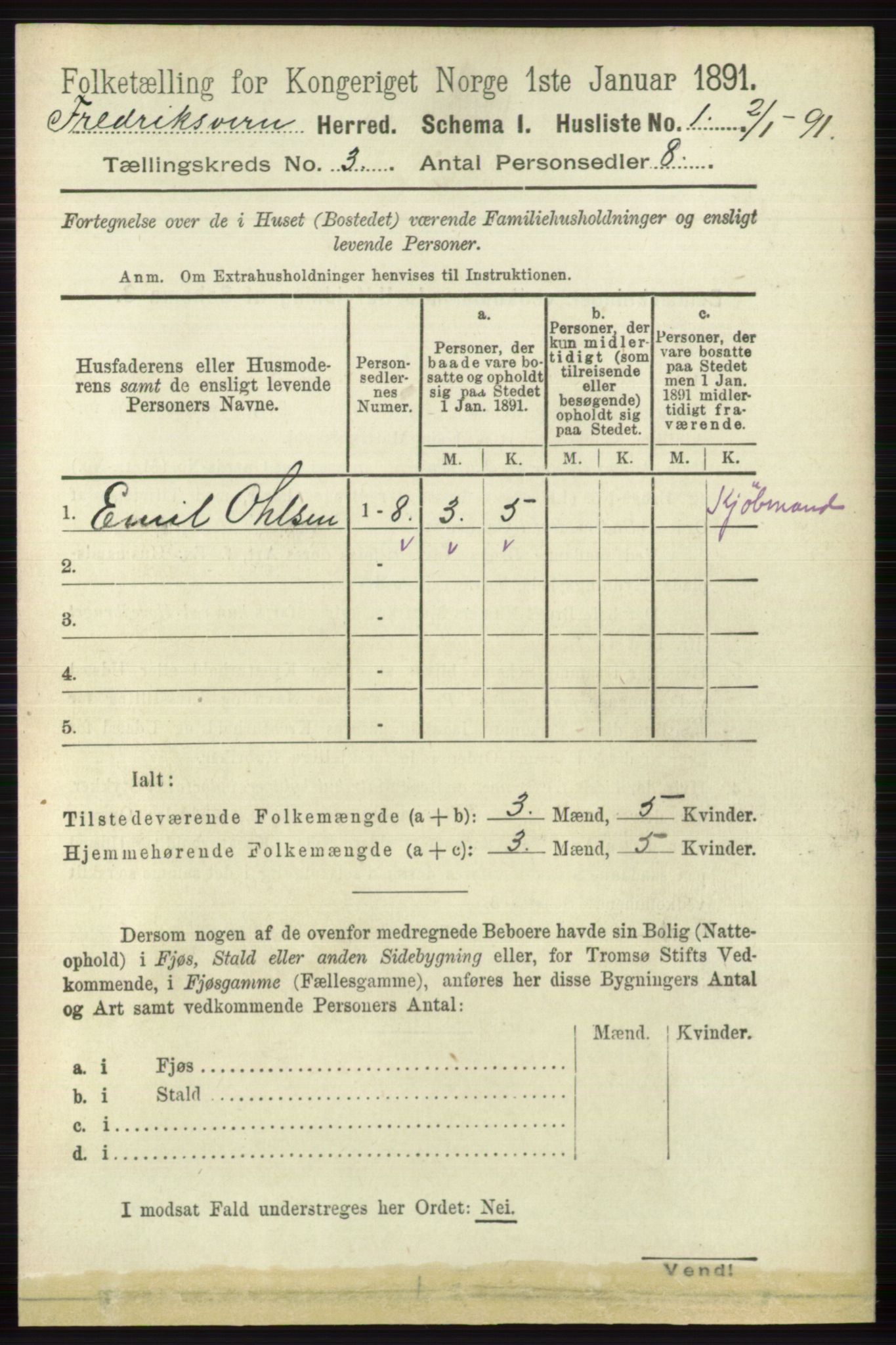 RA, 1891 census for 0798 Fredriksvern, 1891, p. 425