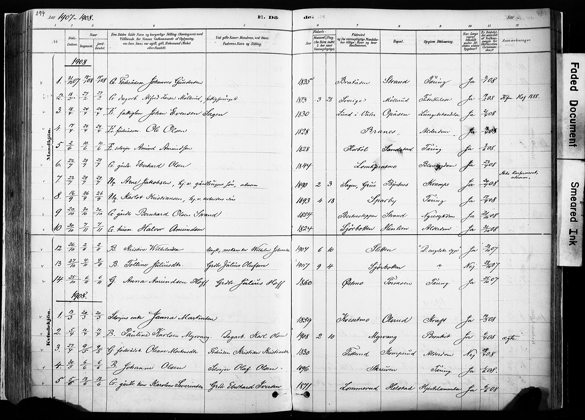 Hof prestekontor, SAH/PREST-038/H/Ha/Haa/L0010: Parish register (official) no. 10, 1878-1909, p. 294
