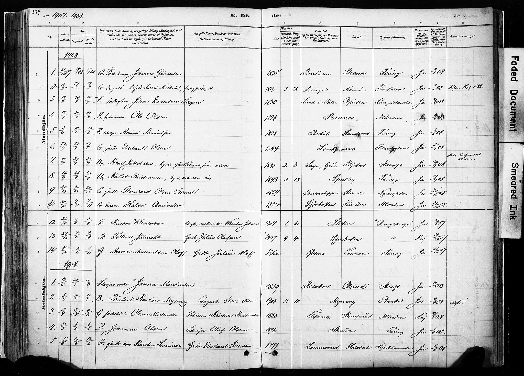 Hof prestekontor, AV/SAH-PREST-038/H/Ha/Haa/L0010: Parish register (official) no. 10, 1878-1909, p. 294