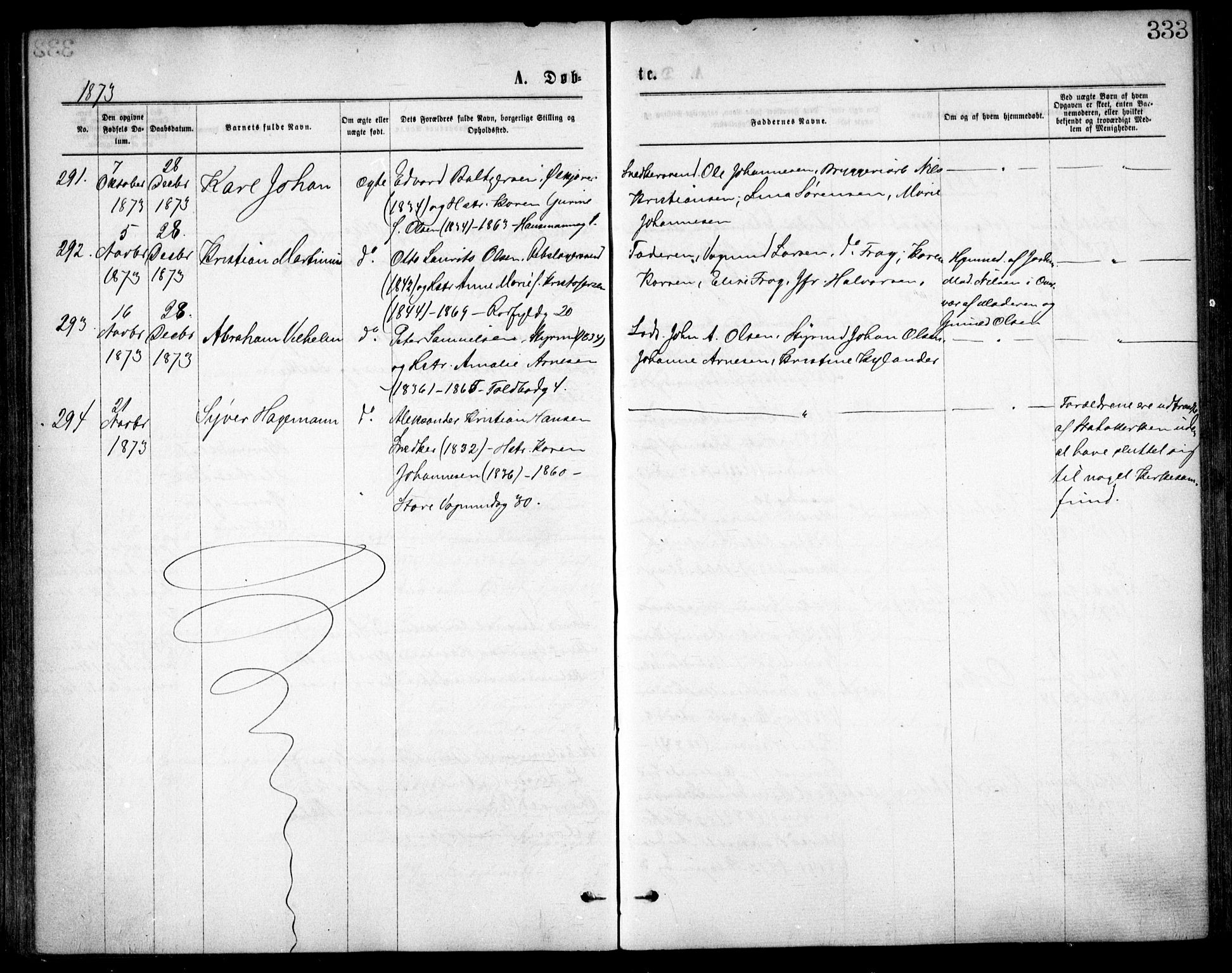 Oslo domkirke Kirkebøker, AV/SAO-A-10752/F/Fa/L0017: Parish register (official) no. 17, 1869-1878, p. 333