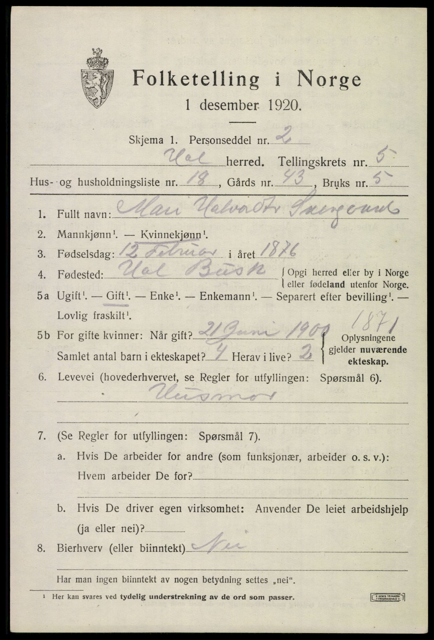 SAKO, 1920 census for Hol (Buskerud), 1920, p. 2941