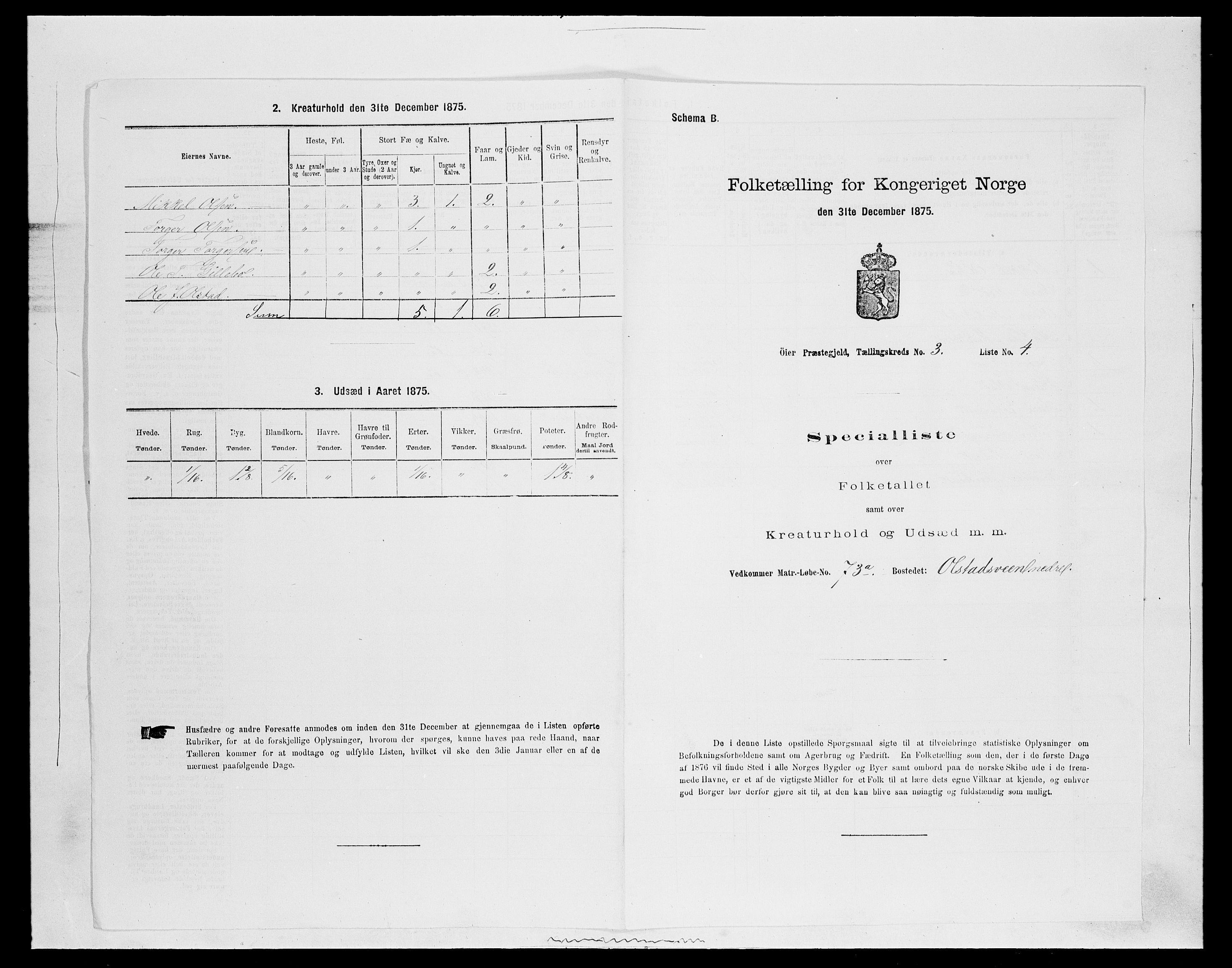 SAH, 1875 census for 0521P Øyer, 1875, p. 494