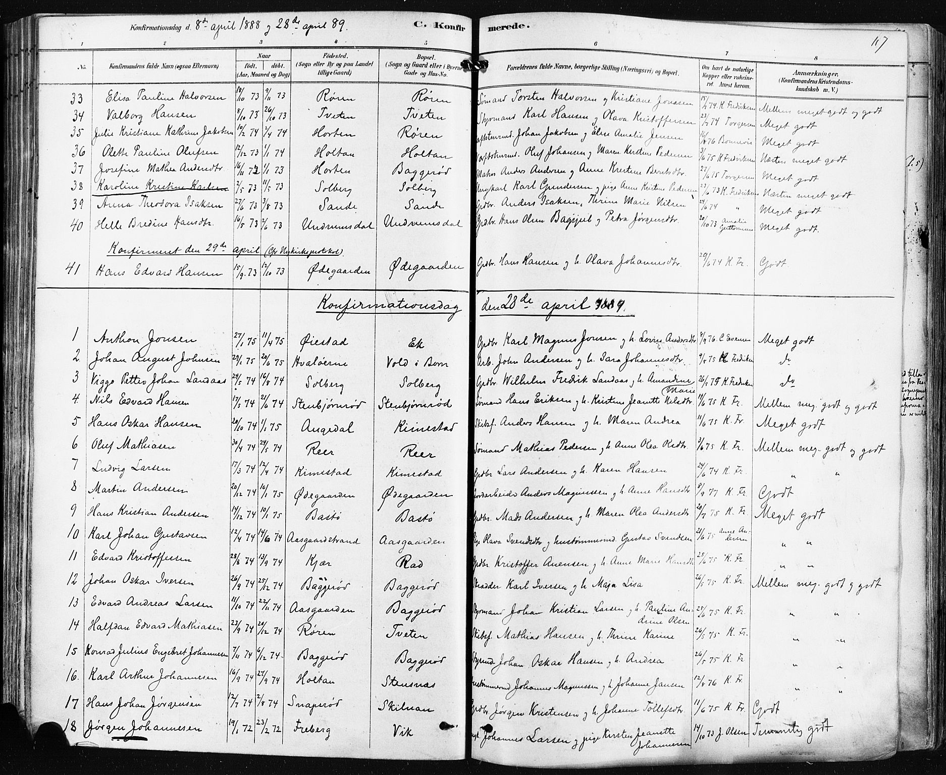 Borre kirkebøker, SAKO/A-338/F/Fa/L0009: Parish register (official) no. I 9, 1878-1896, p. 117