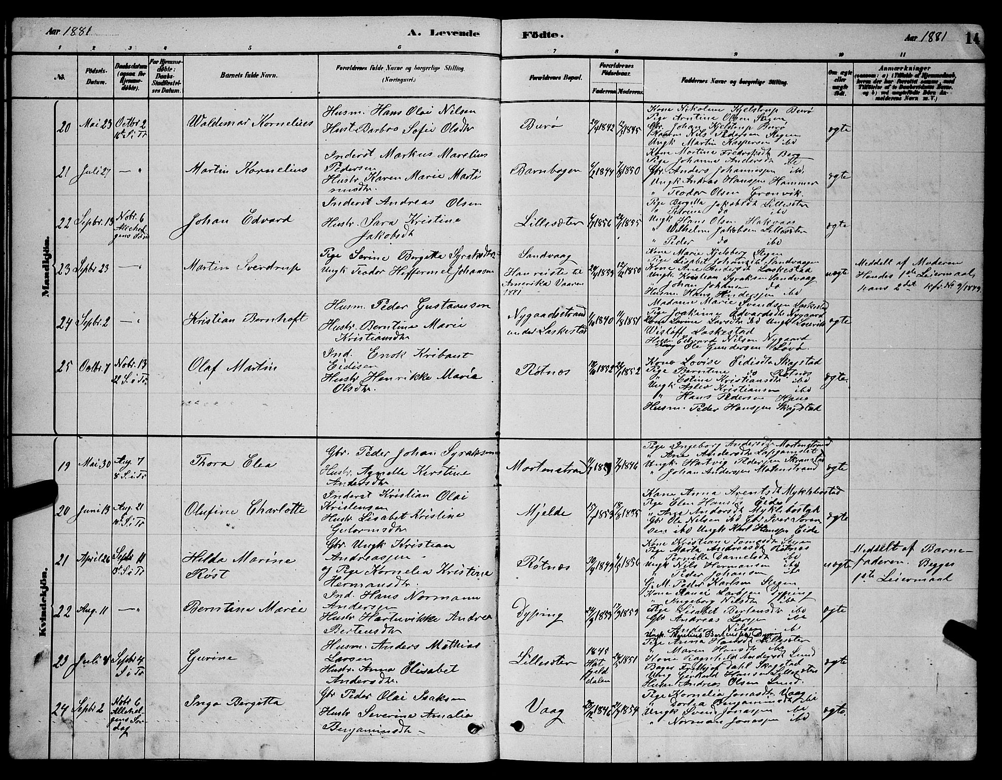 Ministerialprotokoller, klokkerbøker og fødselsregistre - Nordland, AV/SAT-A-1459/855/L0816: Parish register (copy) no. 855C05, 1879-1894, p. 14