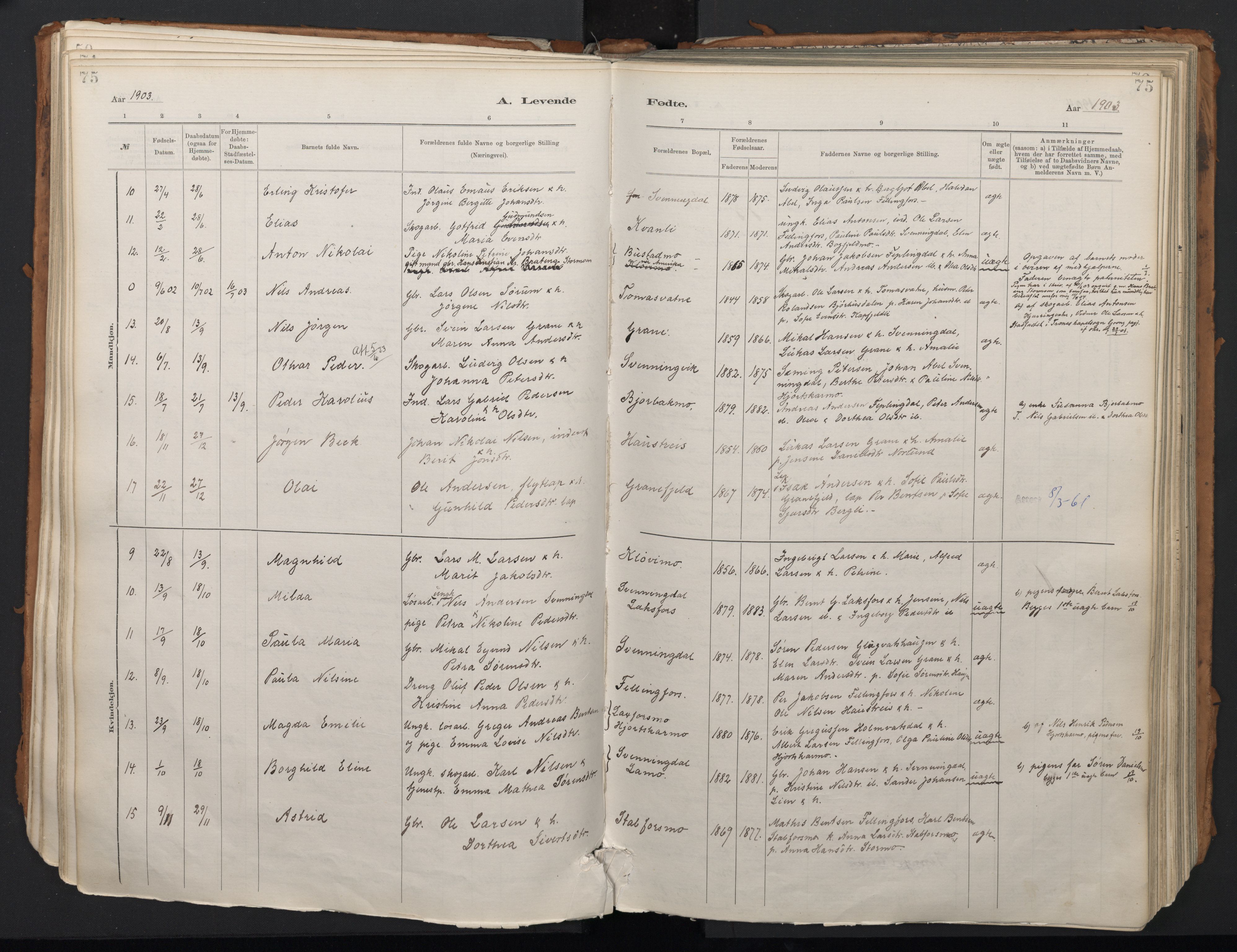 Ministerialprotokoller, klokkerbøker og fødselsregistre - Nordland, SAT/A-1459/824/L0338: Parish register (official) no. 824A01, 1880-1915, p. 75