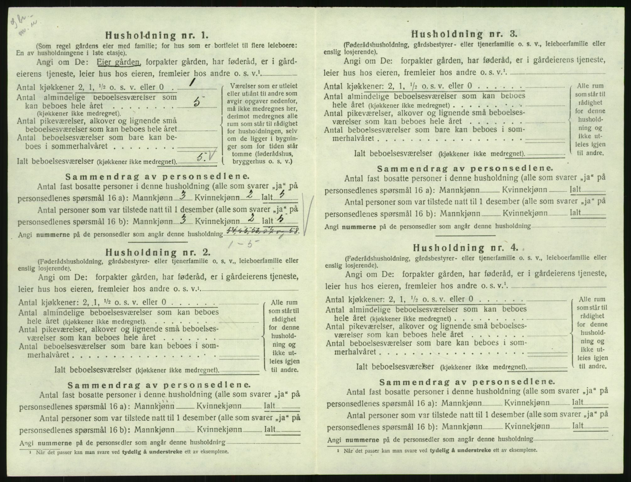 SAK, 1920 census for Hornnes, 1920, p. 226