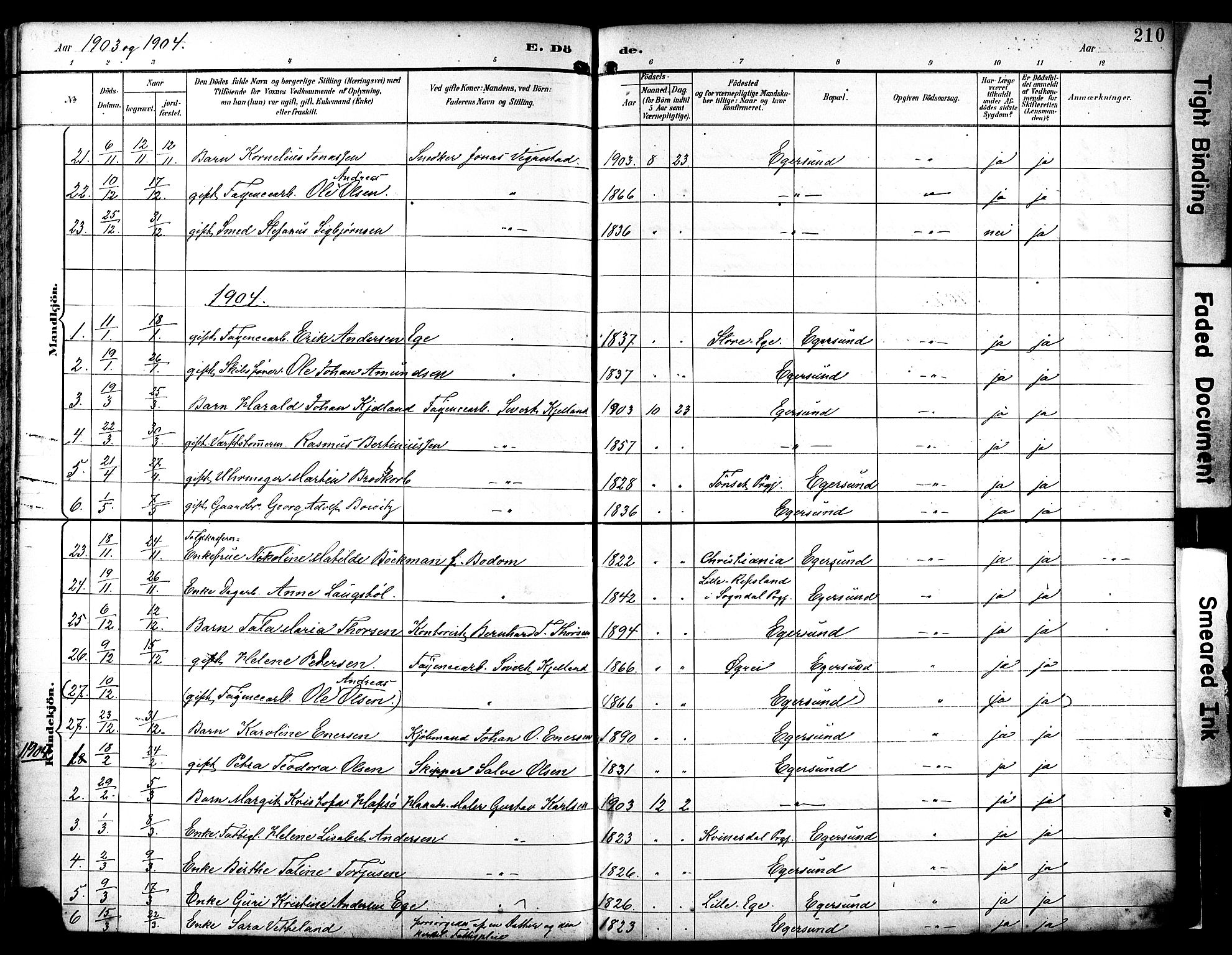 Eigersund sokneprestkontor, AV/SAST-A-101807/S08/L0019: Parish register (official) no. A 18, 1892-1905, p. 210