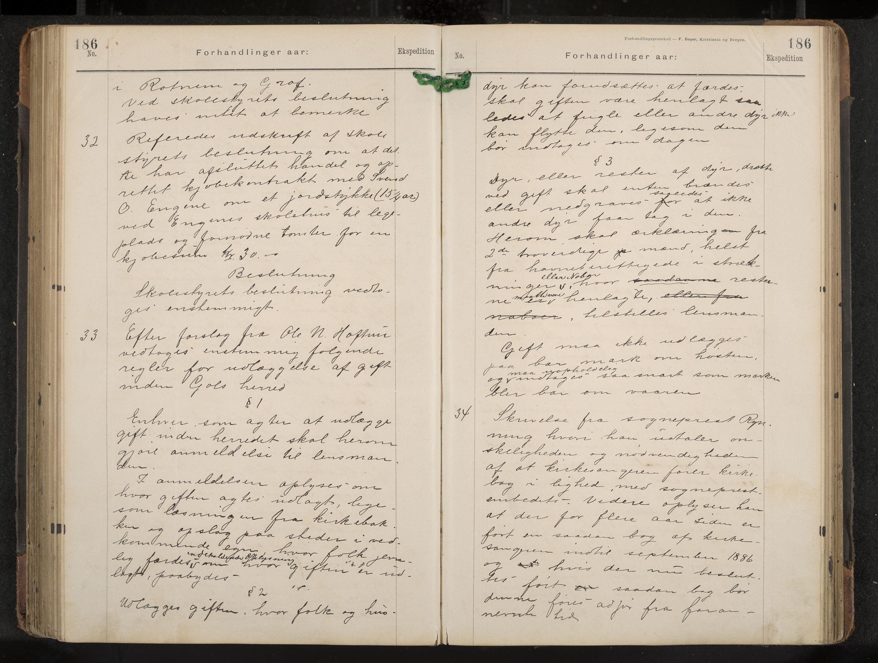 Gol formannskap og sentraladministrasjon, IKAK/0617021-1/A/Aa/L0003: Møtebok, 1892-1905, p. 186