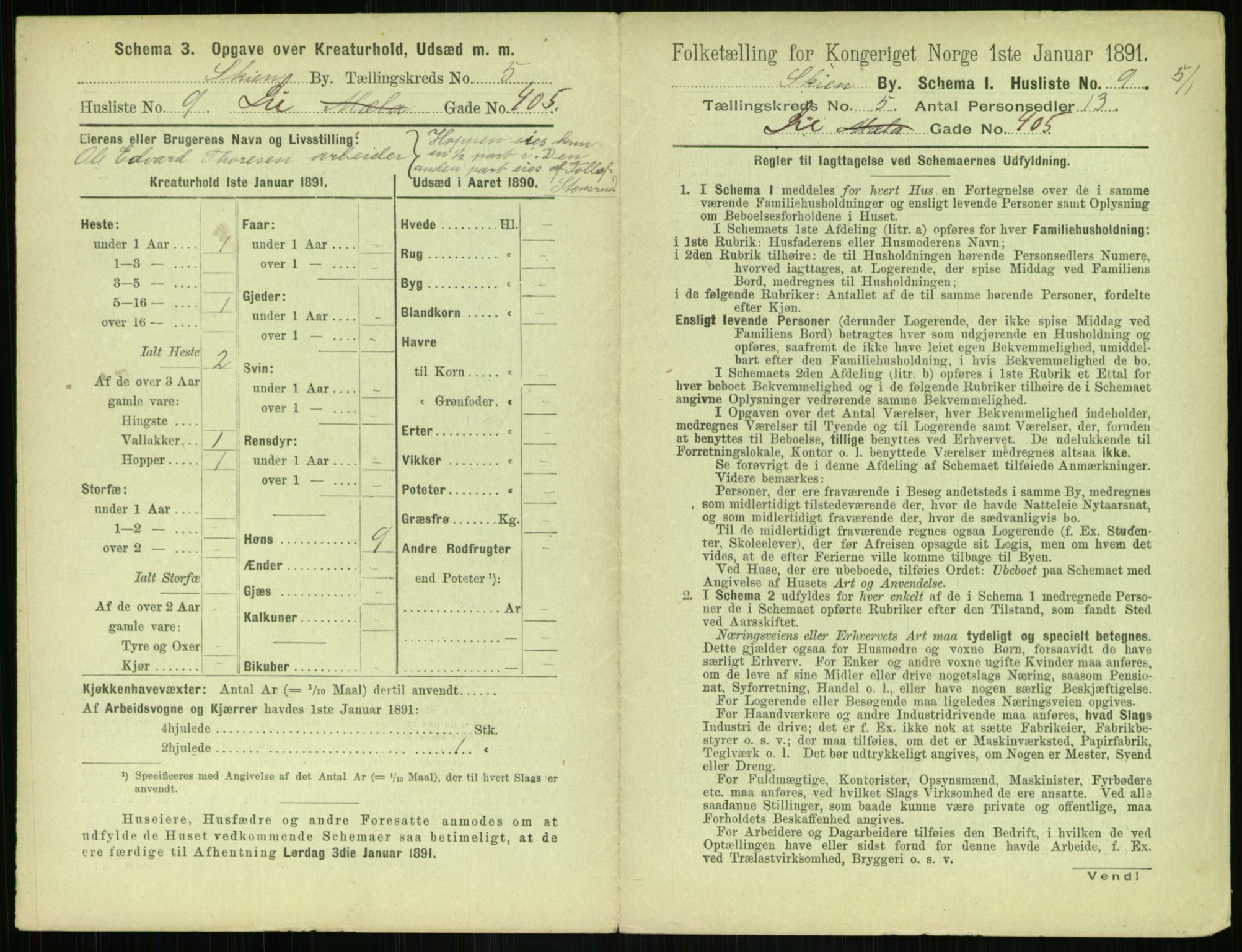 RA, 1891 census for 0806 Skien, 1891, p. 276