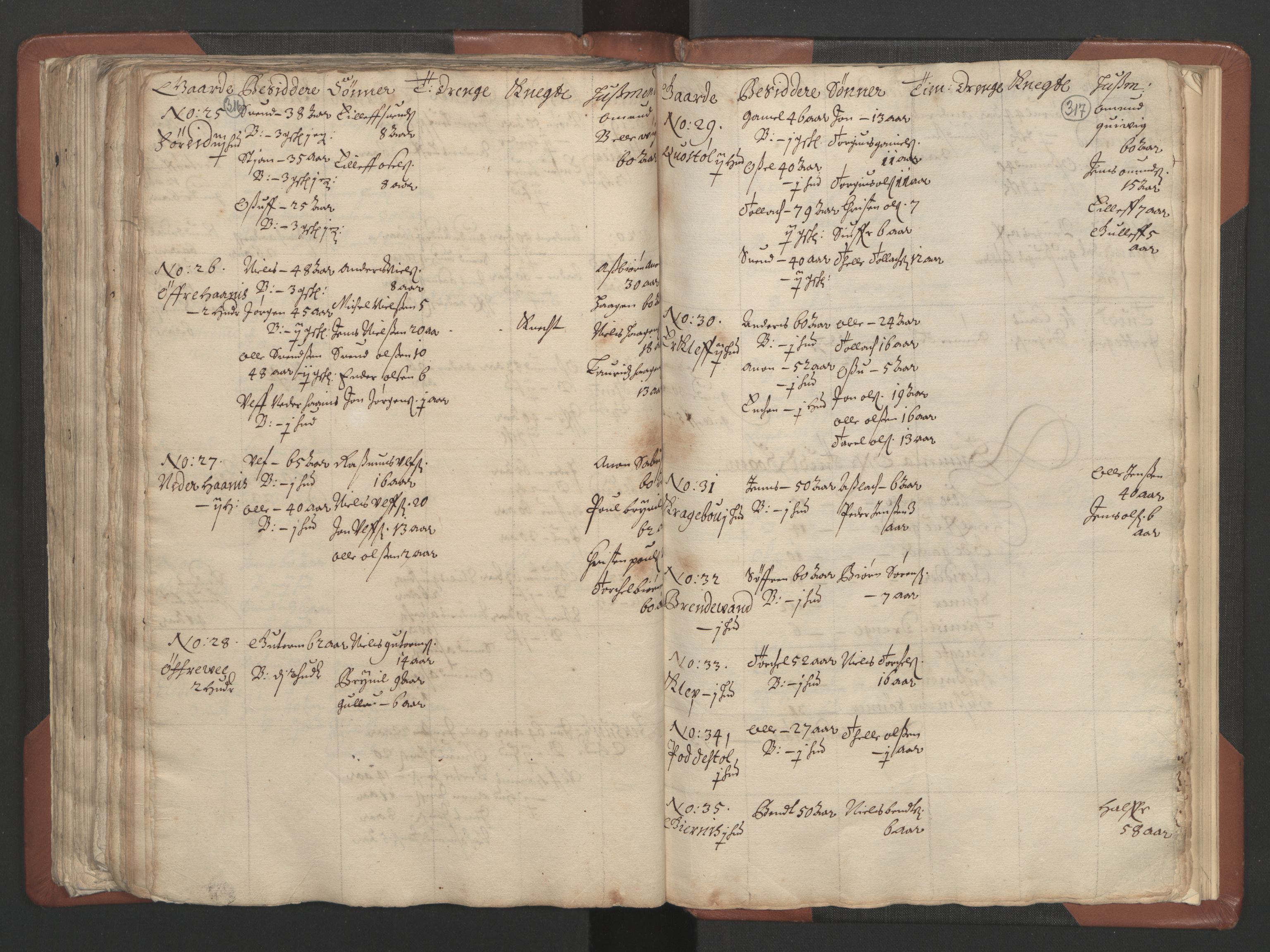 RA, Bailiff's Census 1664-1666, no. 9: Mandal len, 1664-1666, p. 316-317
