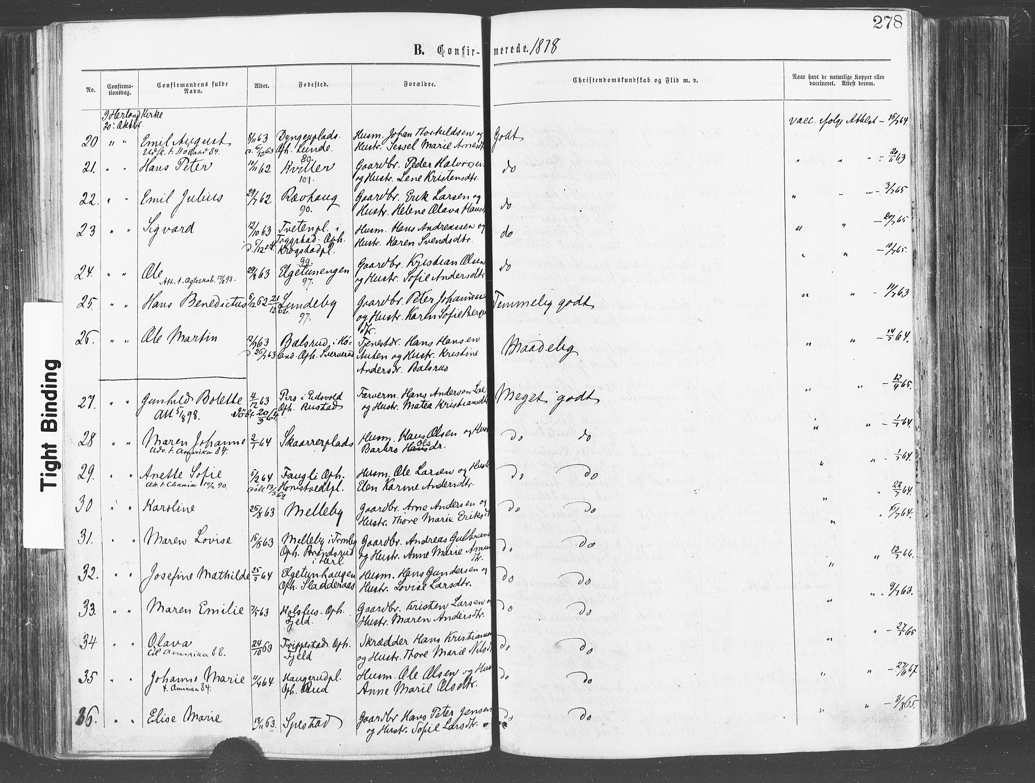 Eidsberg prestekontor Kirkebøker, AV/SAO-A-10905/F/Fa/L0011: Parish register (official) no. I 11, 1867-1878, p. 278