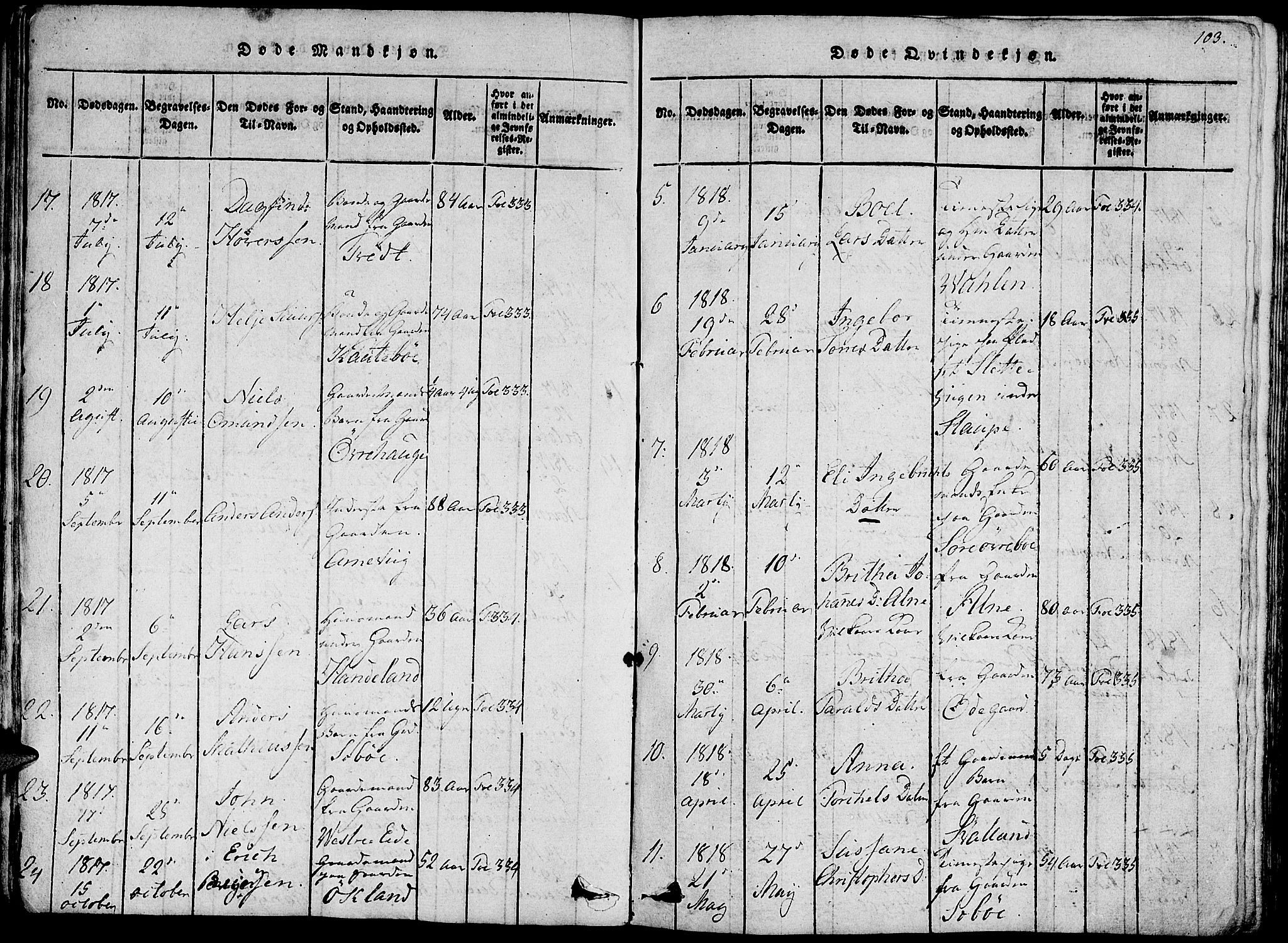 Fjelberg sokneprestembete, AV/SAB-A-75201/H/Haa: Parish register (official) no. A 4, 1816-1822, p. 103