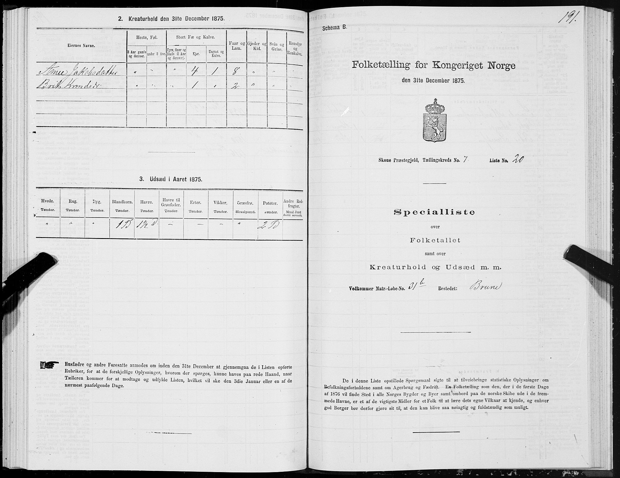 SAT, 1875 census for 1529P Skodje, 1875, p. 2191