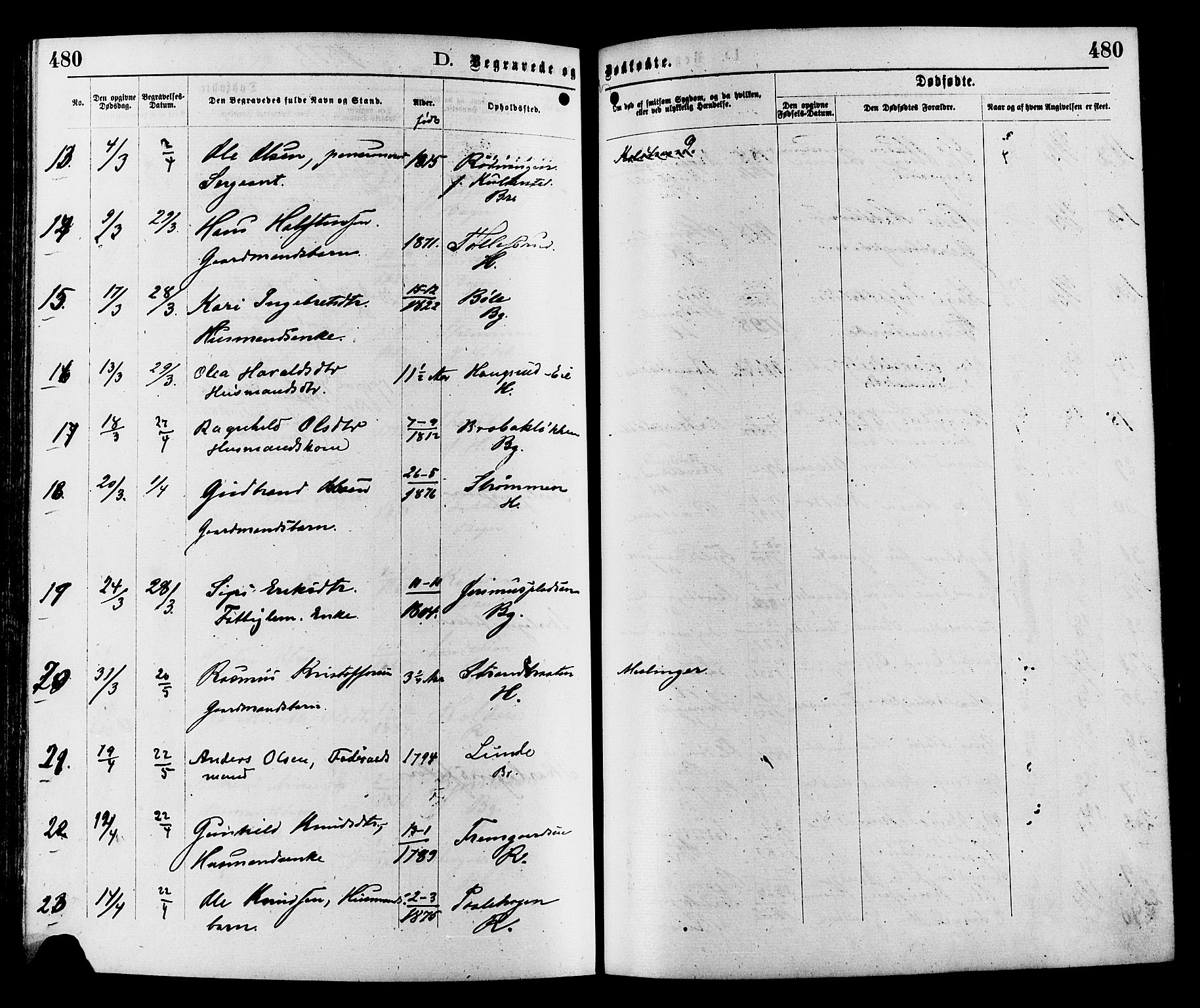 Sør-Aurdal prestekontor, SAH/PREST-128/H/Ha/Haa/L0008: Parish register (official) no. 8, 1877-1885, p. 480
