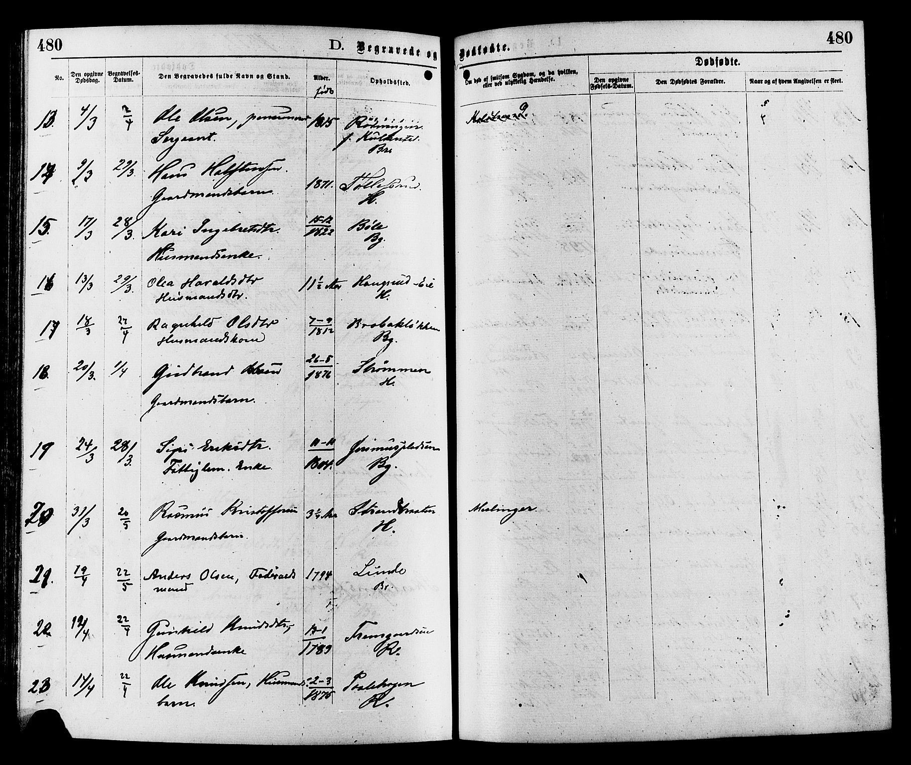 Sør-Aurdal prestekontor, AV/SAH-PREST-128/H/Ha/Haa/L0008: Parish register (official) no. 8, 1877-1885, p. 480