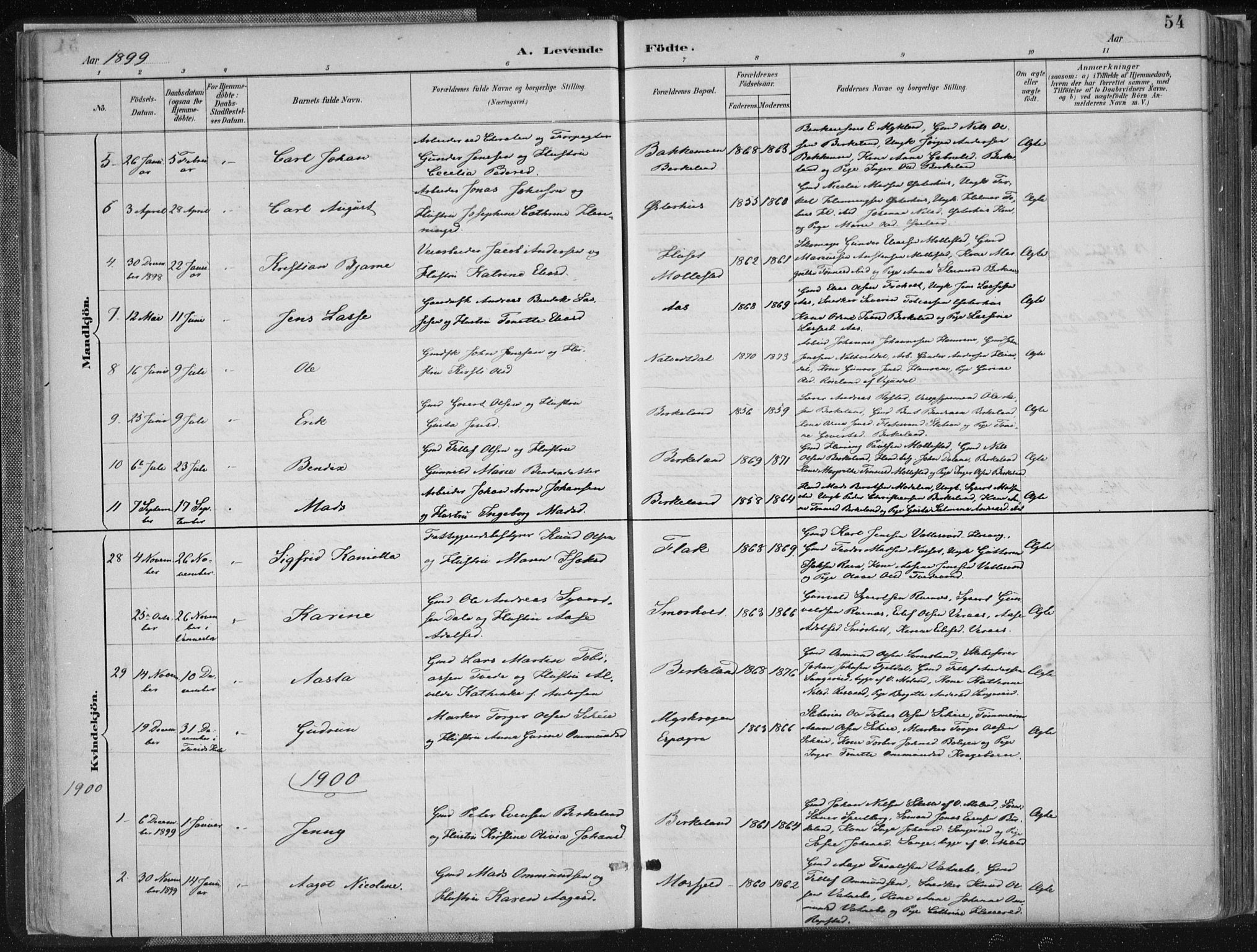 Birkenes sokneprestkontor, SAK/1111-0004/F/Fa/L0005: Parish register (official) no. A 5, 1887-1907, p. 54