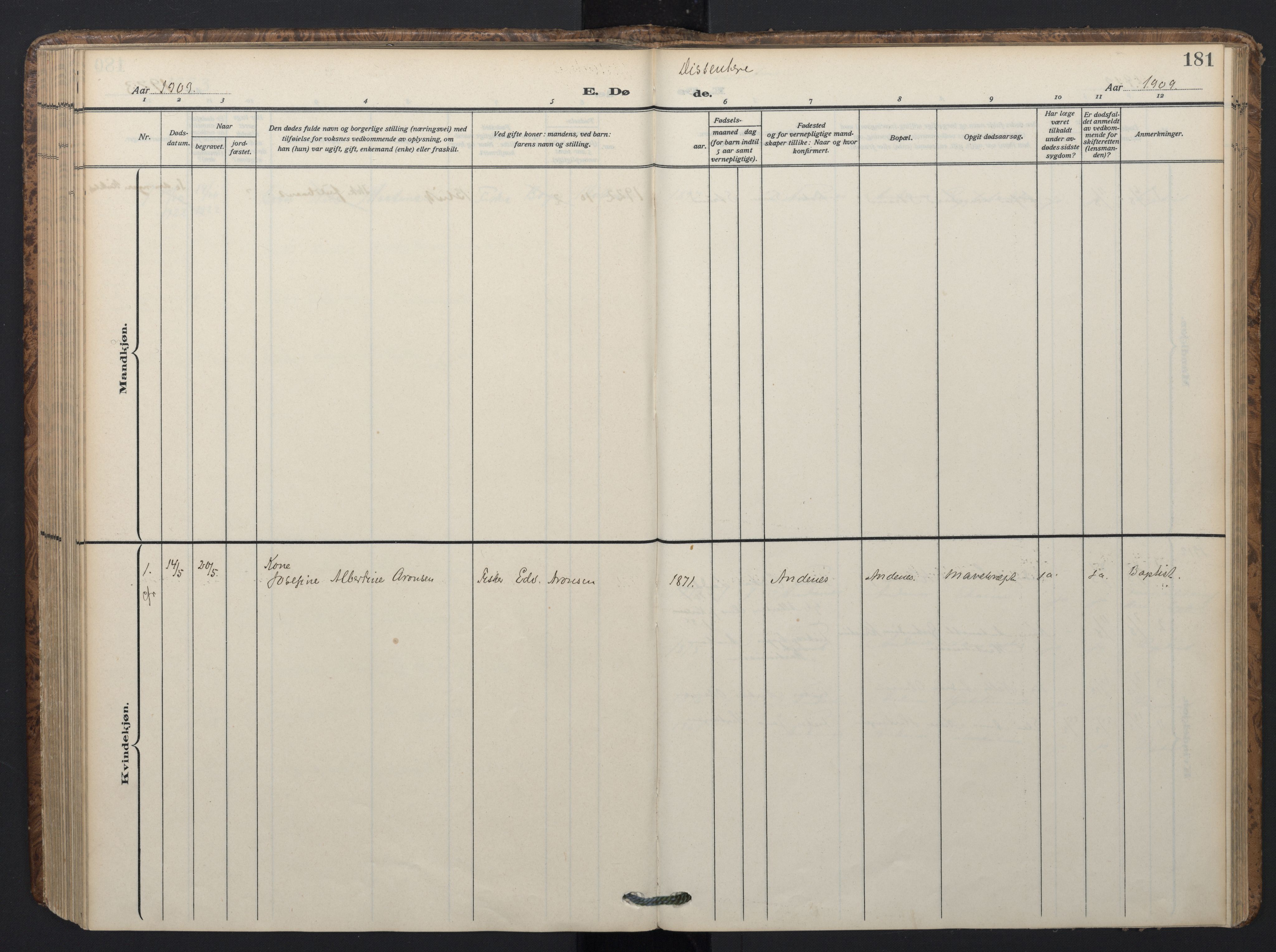 Ministerialprotokoller, klokkerbøker og fødselsregistre - Nordland, SAT/A-1459/899/L1438: Parish register (official) no. 899A06, 1909-1922, p. 181