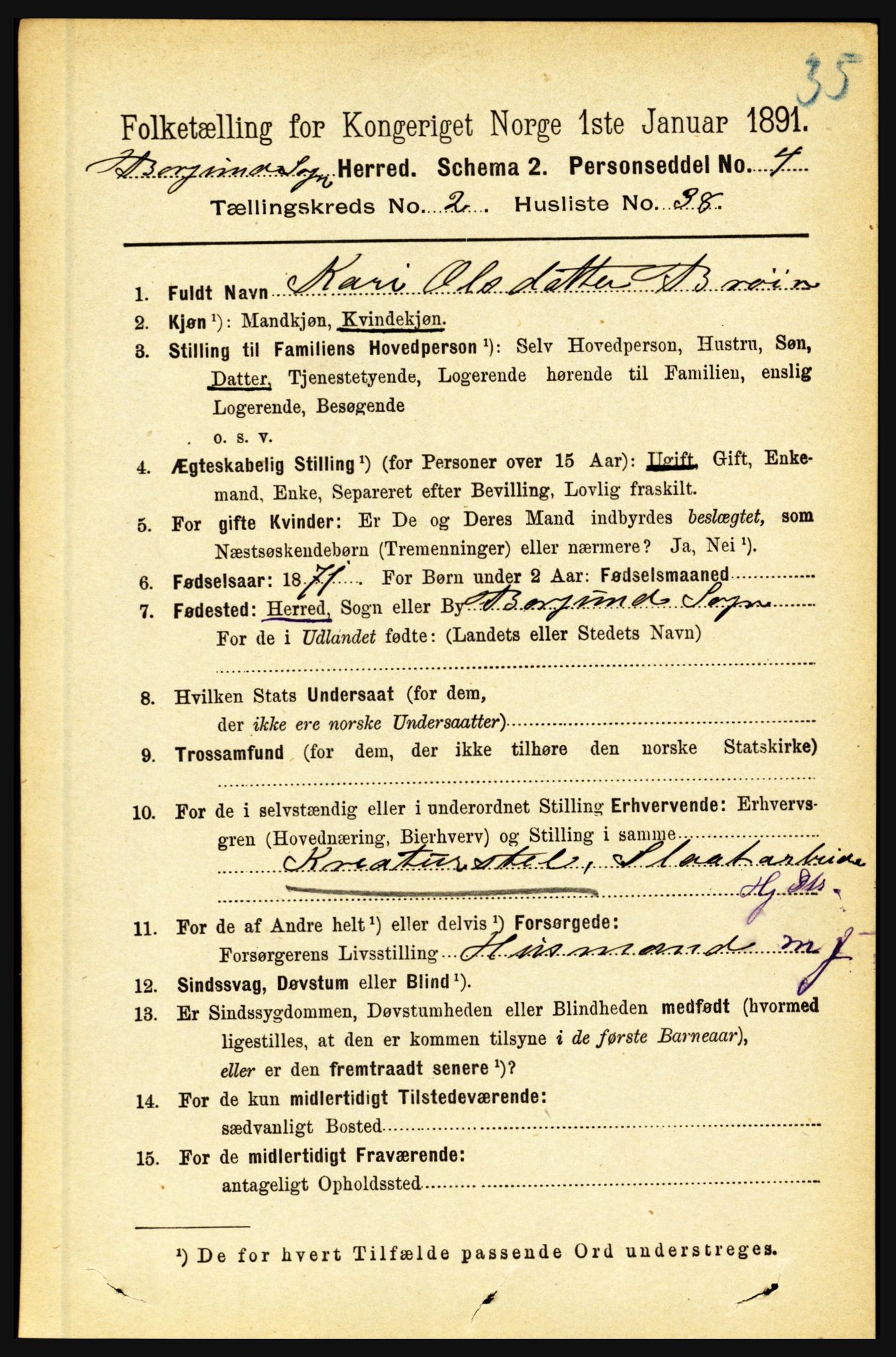 RA, 1891 census for 1423 Borgund, 1891, p. 515