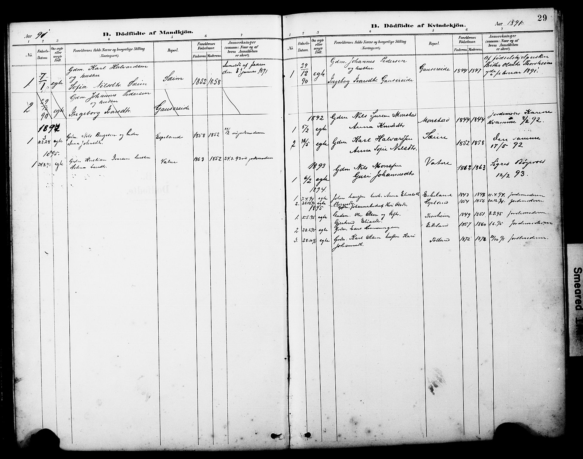 Alversund Sokneprestembete, SAB/A-73901/H/Ha/Hab: Parish register (copy) no. D 3, 1890-1908, p. 29