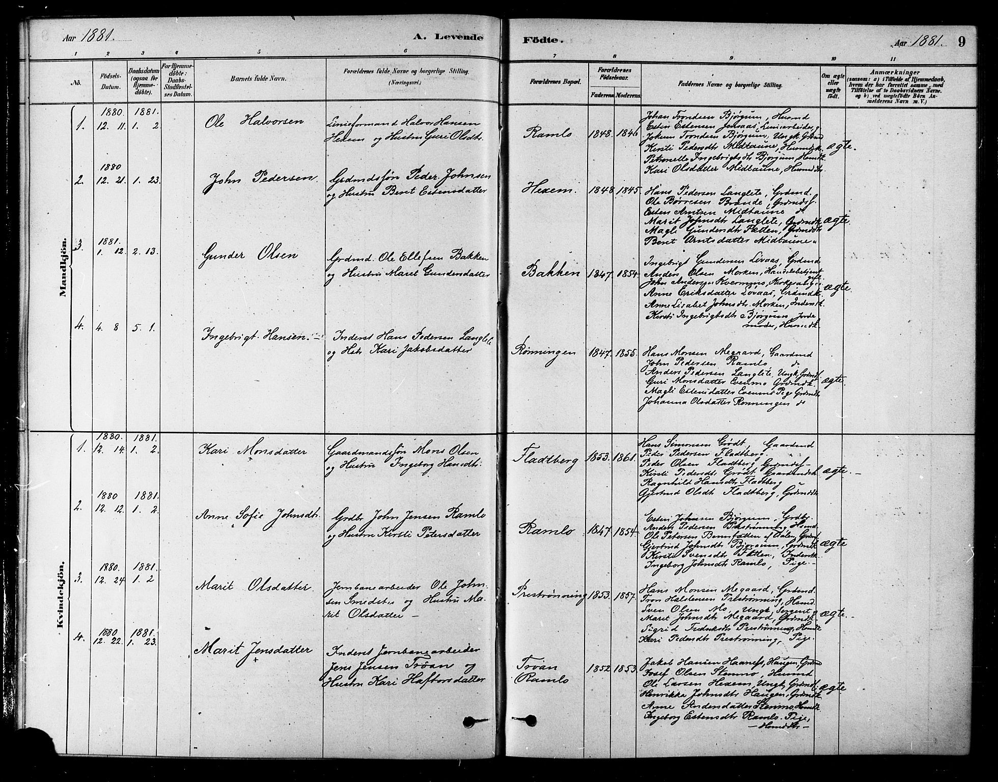 Ministerialprotokoller, klokkerbøker og fødselsregistre - Sør-Trøndelag, SAT/A-1456/685/L0972: Parish register (official) no. 685A09, 1879-1890, p. 9