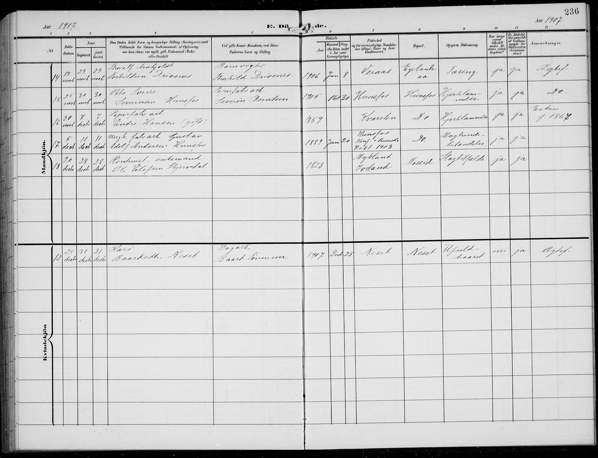 Vennesla sokneprestkontor, AV/SAK-1111-0045/Fb/Fbb/L0005: Parish register (copy) no. B 5, 1903-1913, p. 236