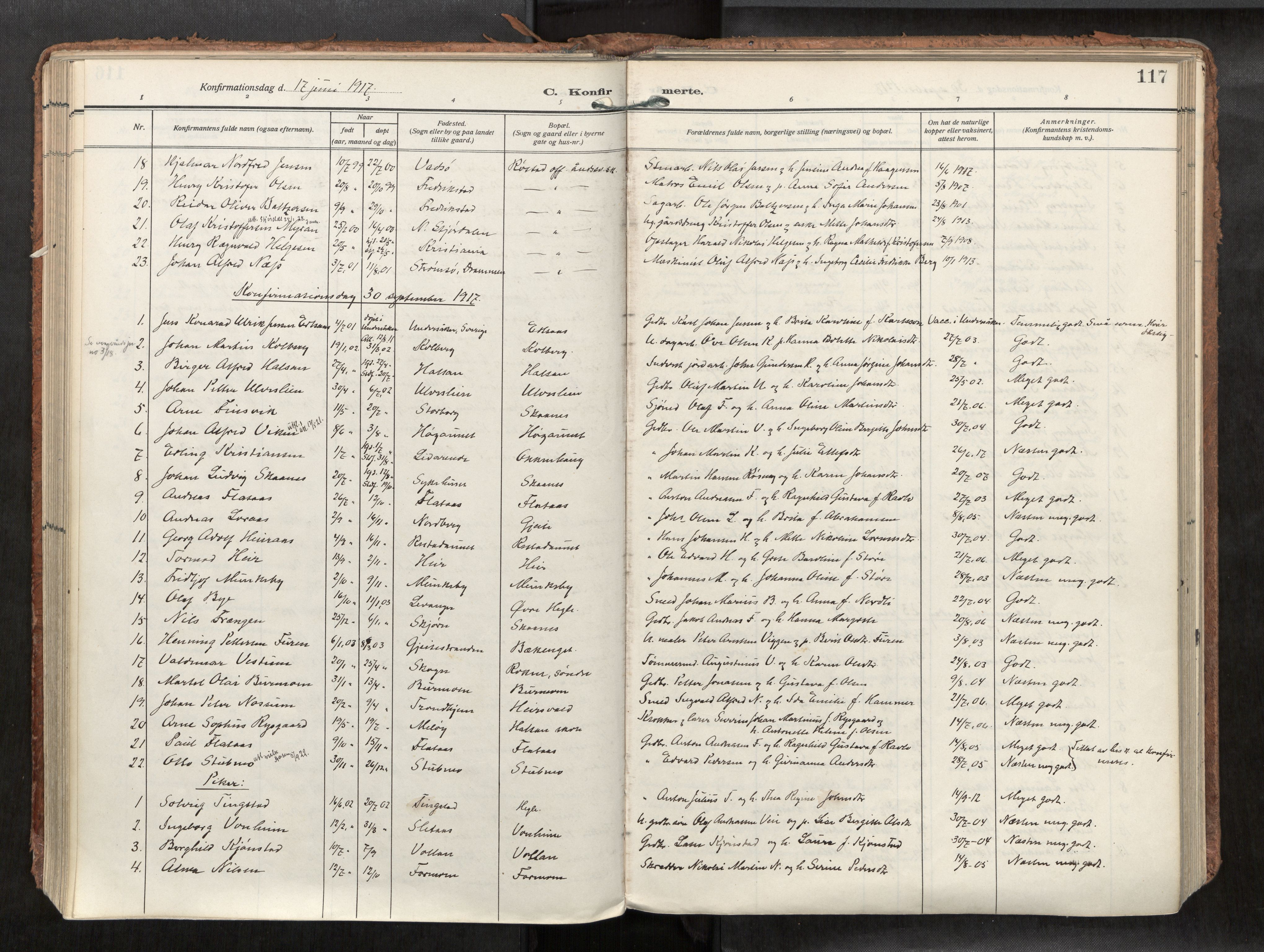 Levanger sokneprestkontor, SAT/A-1301/2/H/Haa/L0002: Parish register (official) no. 2, 1912-1935, p. 117