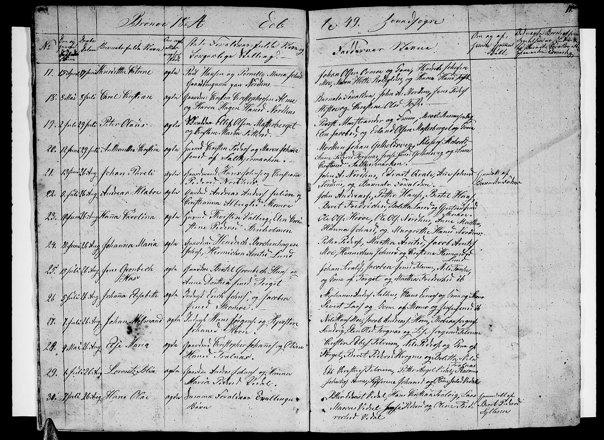 Ministerialprotokoller, klokkerbøker og fødselsregistre - Nordland, AV/SAT-A-1459/813/L0211: Parish register (copy) no. 813C03, 1842-1863, p. 17