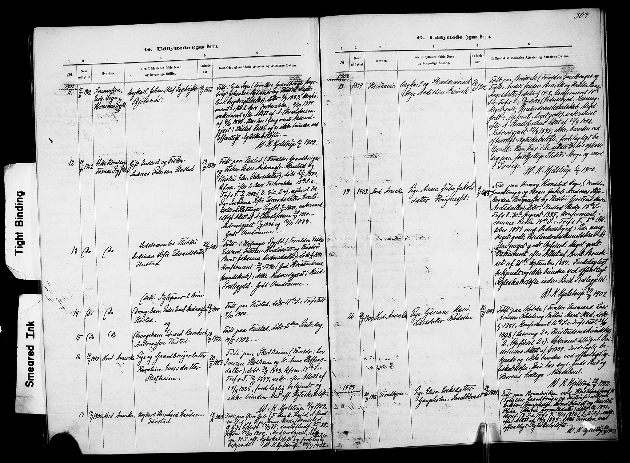 Ministerialprotokoller, klokkerbøker og fødselsregistre - Møre og Romsdal, SAT/A-1454/567/L0778: Parish register (official) no. 567A01, 1881-1903, p. 307