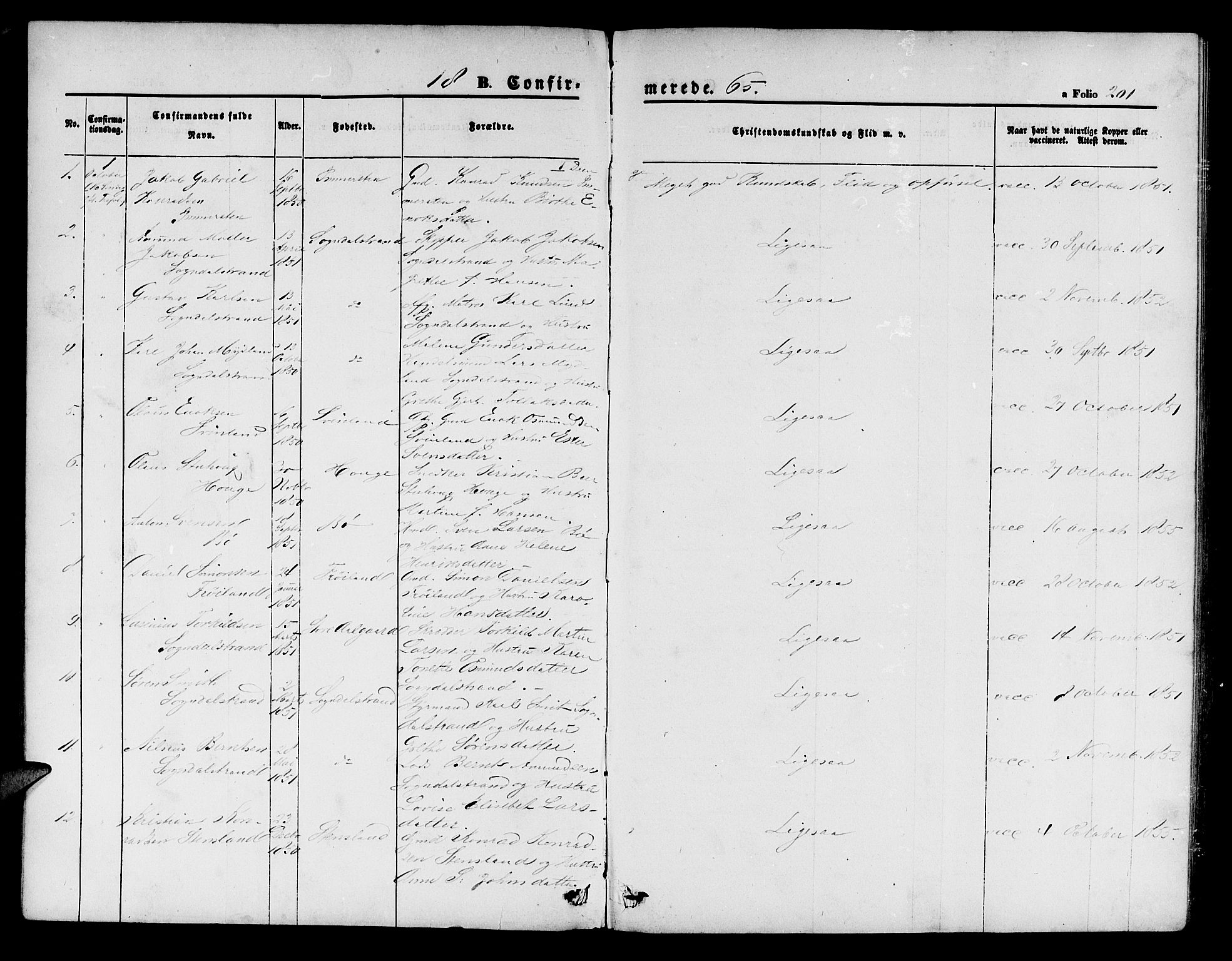 Sokndal sokneprestkontor, SAST/A-101808: Parish register (copy) no. B 3, 1865-1879, p. 201