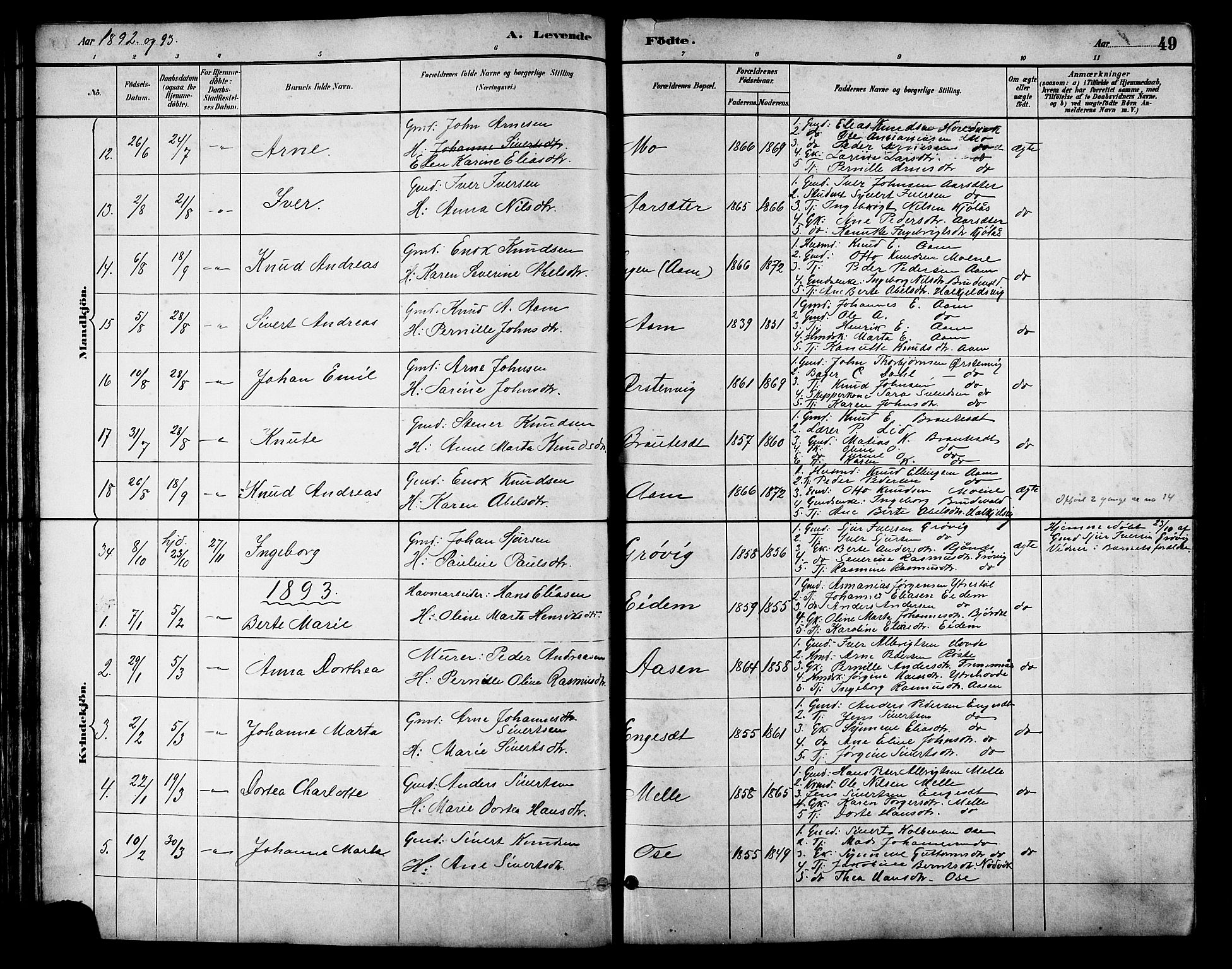 Ministerialprotokoller, klokkerbøker og fødselsregistre - Møre og Romsdal, AV/SAT-A-1454/513/L0189: Parish register (copy) no. 513C03, 1883-1904, p. 49