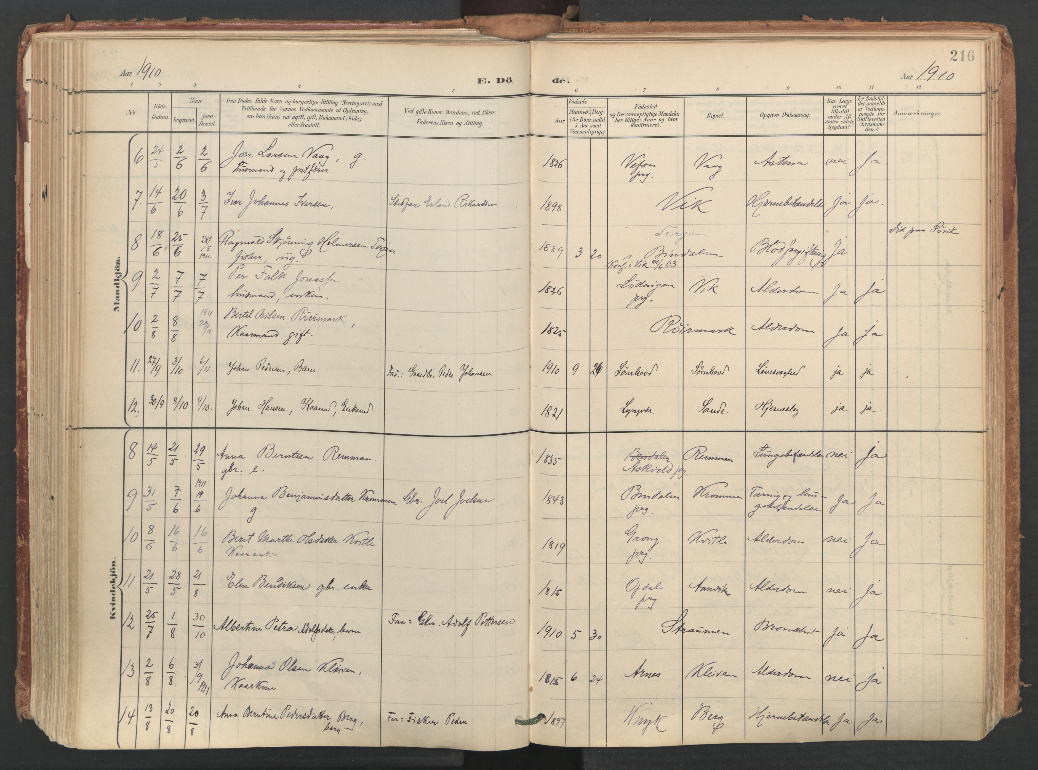 Ministerialprotokoller, klokkerbøker og fødselsregistre - Nordland, AV/SAT-A-1459/812/L0180: Parish register (official) no. 812A09, 1901-1915, p. 216