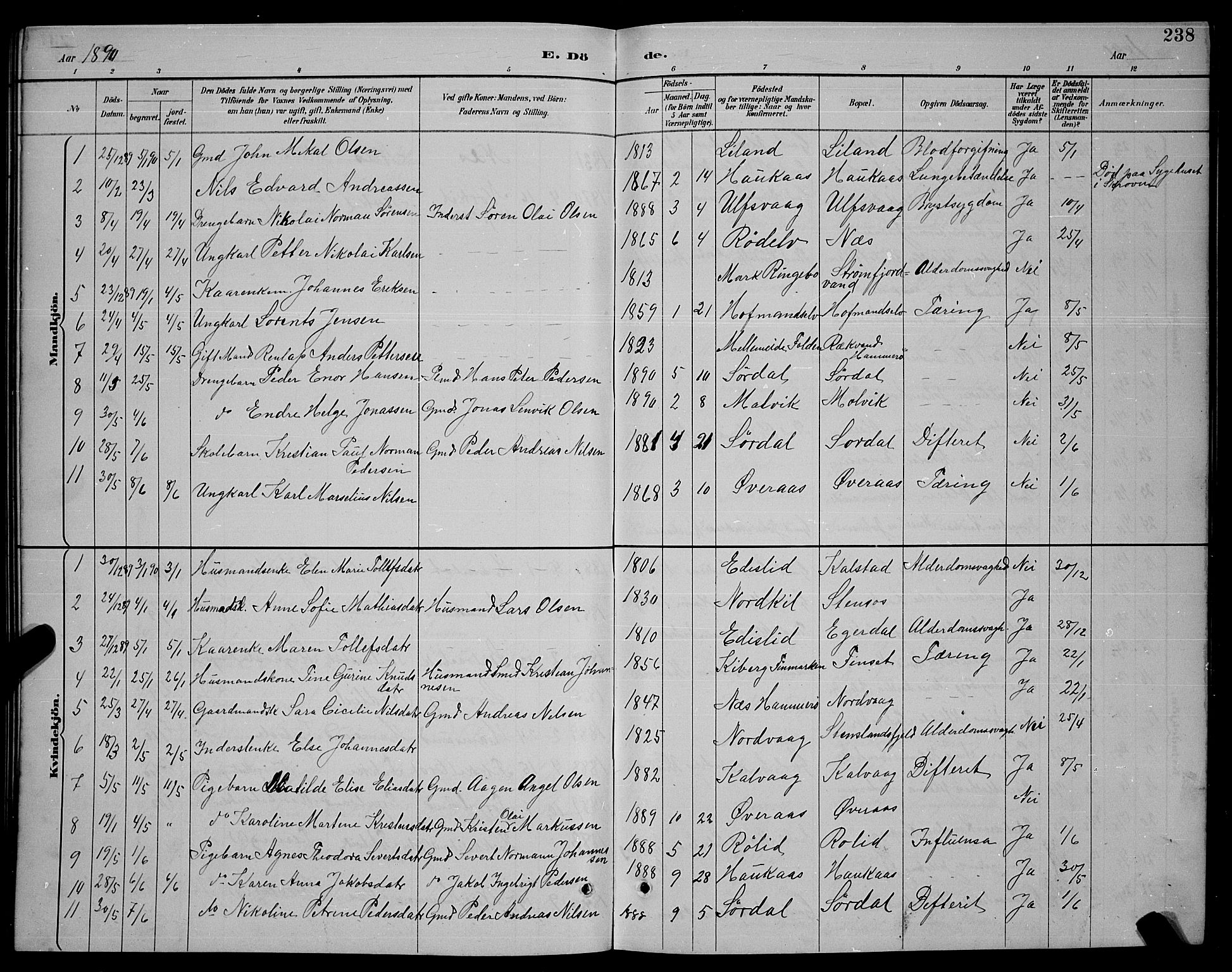 Ministerialprotokoller, klokkerbøker og fødselsregistre - Nordland, SAT/A-1459/859/L0859: Parish register (copy) no. 859C05, 1887-1898, p. 238