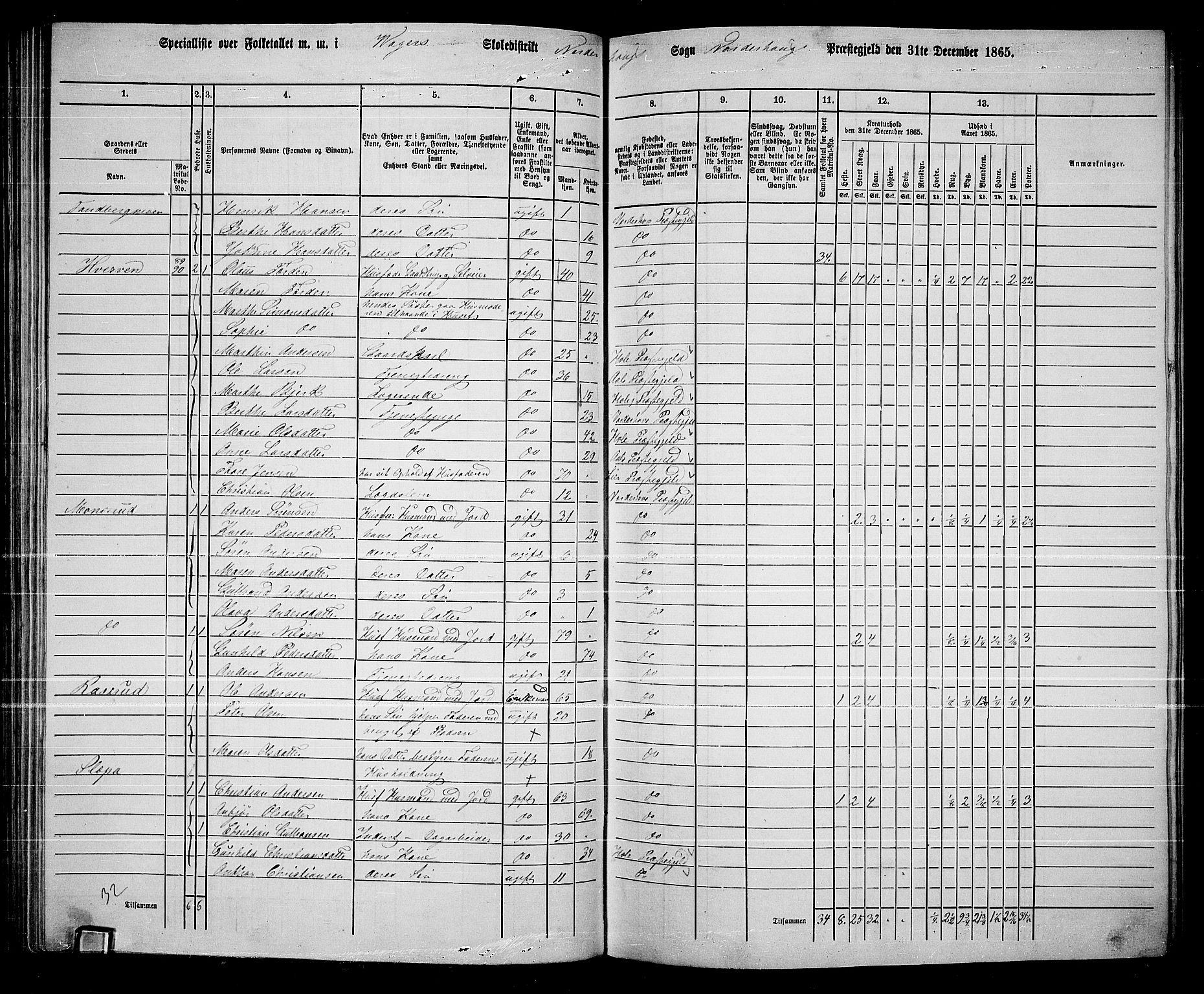 RA, 1865 census for Norderhov/Norderhov, Haug og Lunder, 1865, p. 110