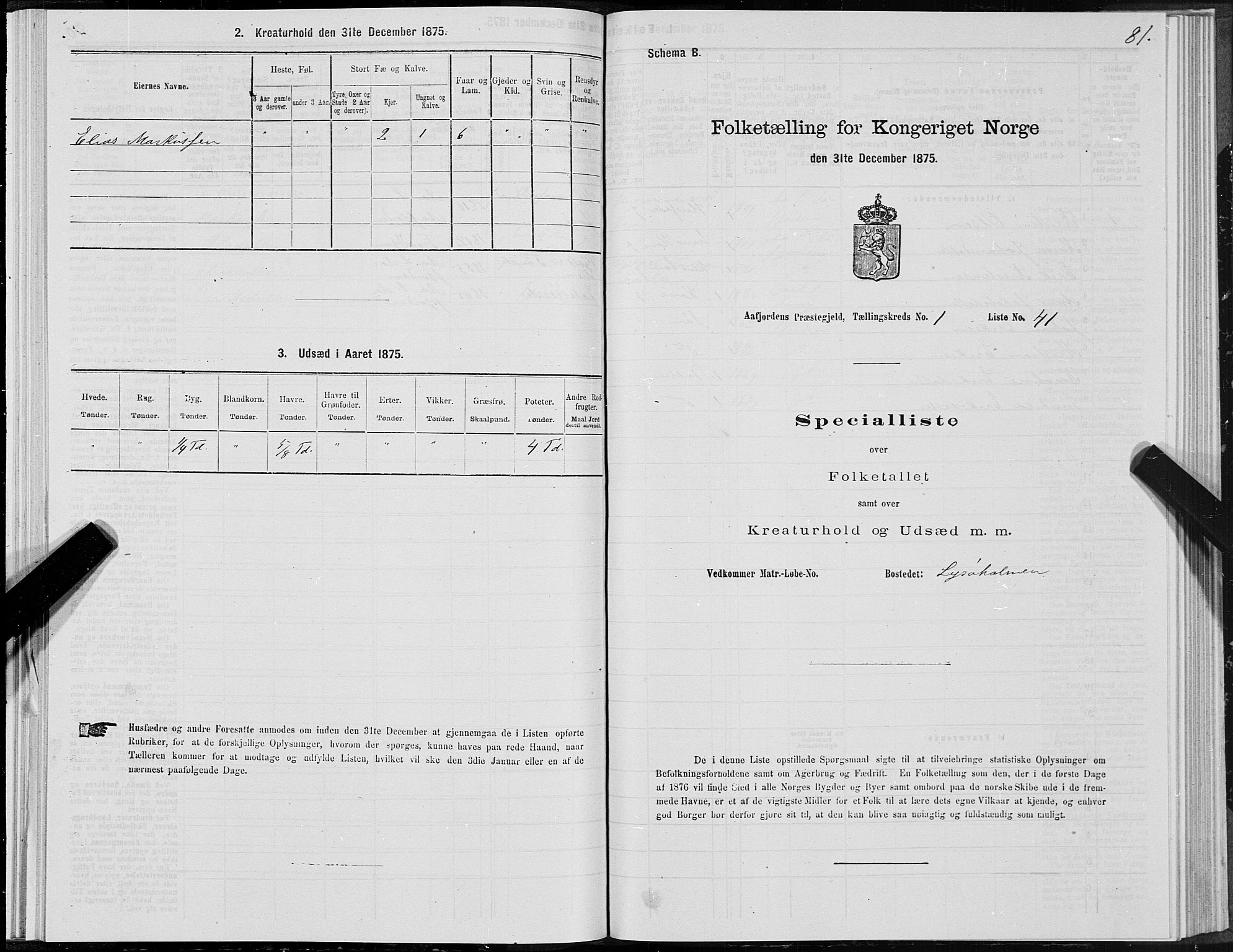 SAT, 1875 census for 1630P Aafjorden, 1875, p. 1081