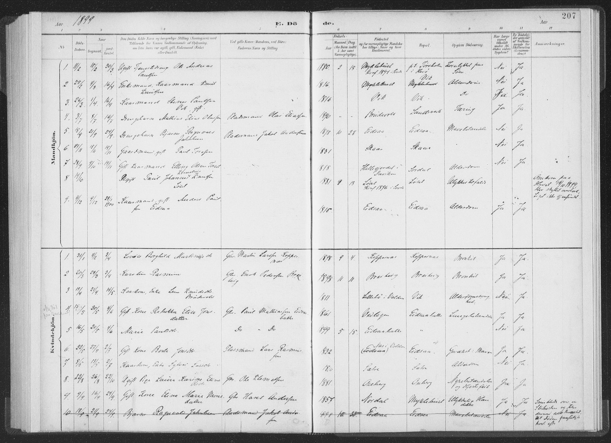 Ministerialprotokoller, klokkerbøker og fødselsregistre - Møre og Romsdal, AV/SAT-A-1454/502/L0025: Parish register (official) no. 502A03, 1885-1909, p. 207