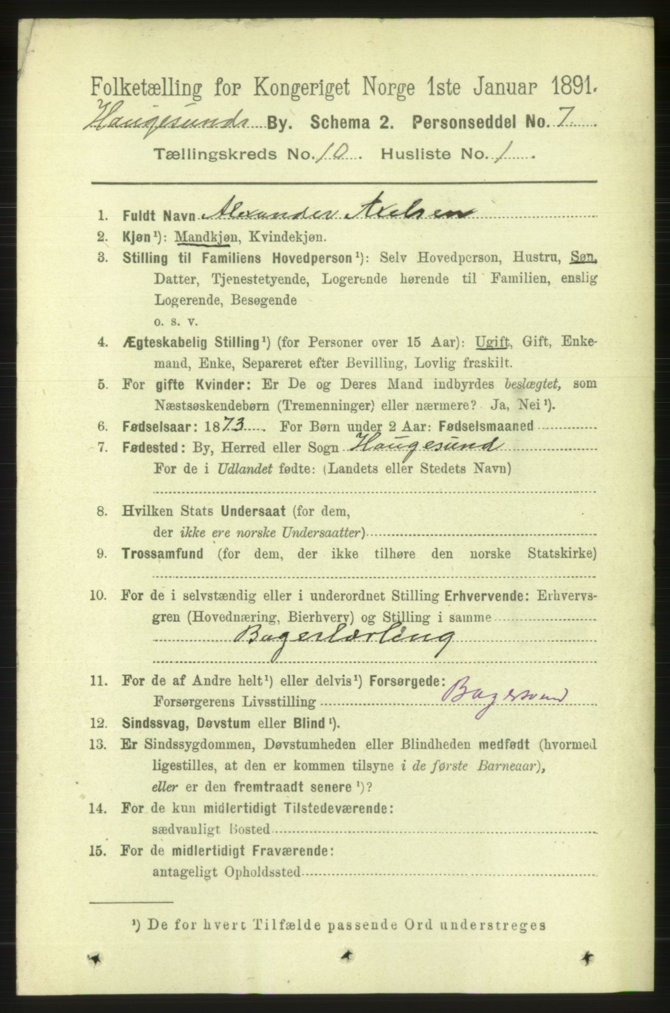 RA, 1891 census for 1106 Haugesund, 1891, p. 3737