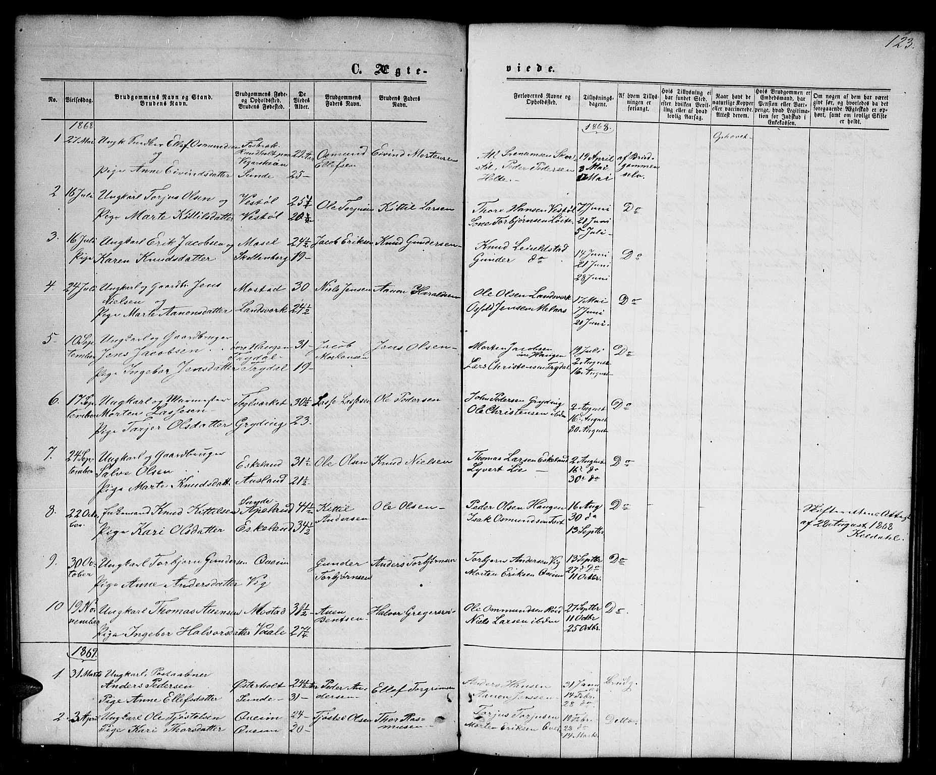 Gjerstad sokneprestkontor, SAK/1111-0014/F/Fb/Fba/L0006: Parish register (copy) no. B 6, 1868-1890, p. 123