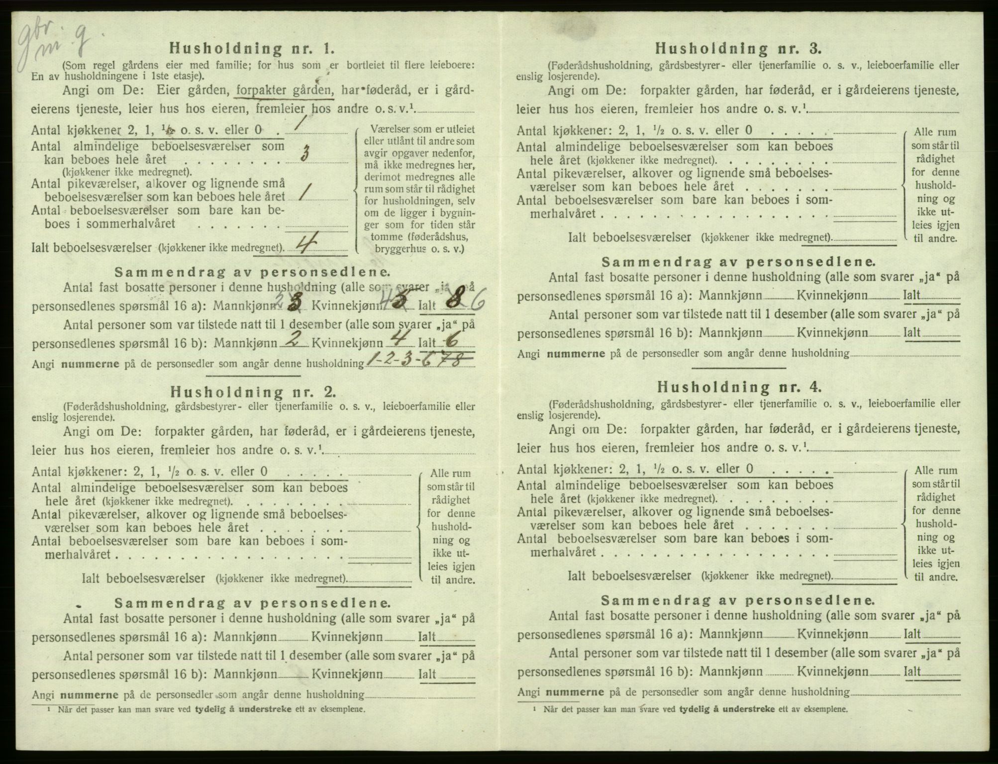 SAB, 1920 census for Eidfjord, 1920, p. 96