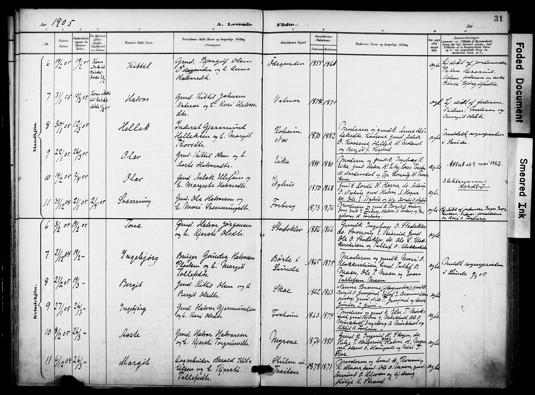 Bø kirkebøker, SAKO/A-257/F/Fa/L0012: Parish register (official) no. 12, 1900-1908, p. 31