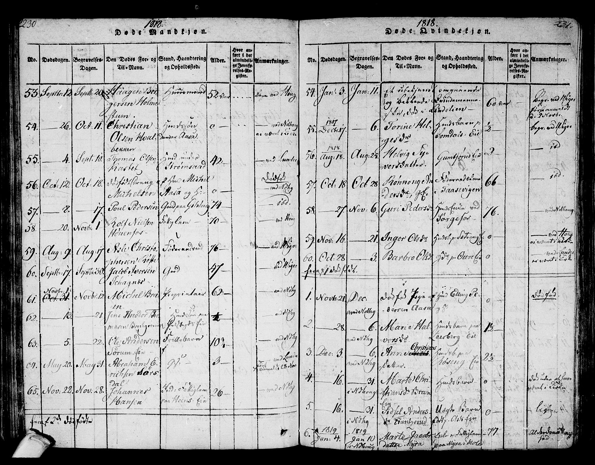 Norderhov kirkebøker, AV/SAKO-A-237/F/Fa/L0008: Parish register (official) no. 8, 1814-1833, p. 230-231
